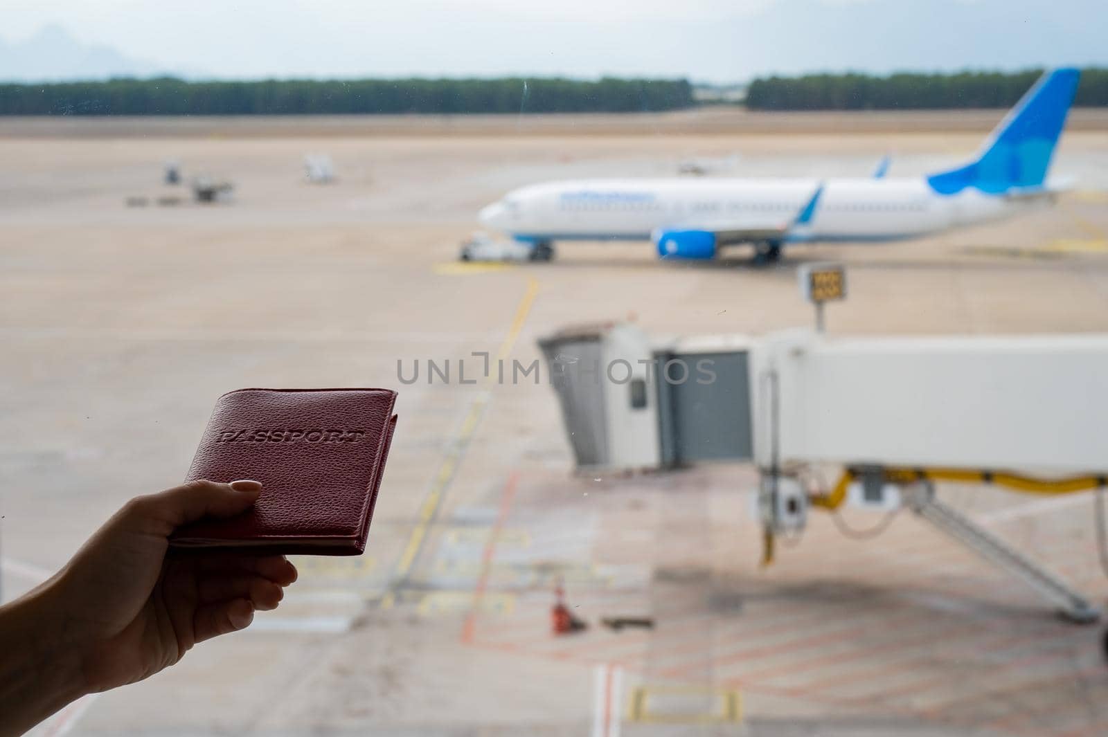 A woman holds a passport against the background of an airplane at the airport. The faceless girl is waiting for her flight and looks at the airfield through the window. by mrwed54