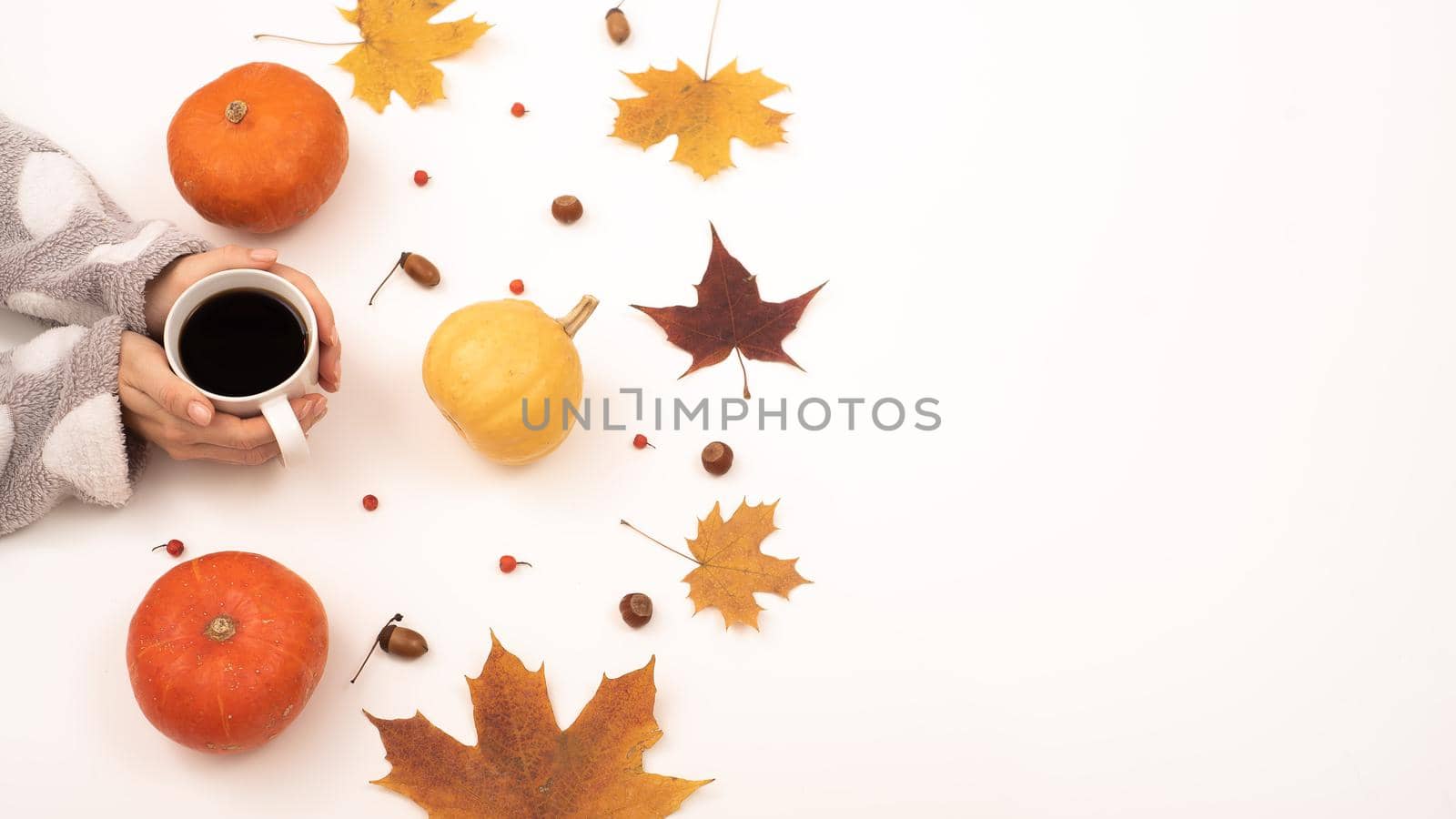 A woman holds a cup of black coffee near the yellow maple leaves of a pumpkin on a white background. Autumn flat lay. by mrwed54