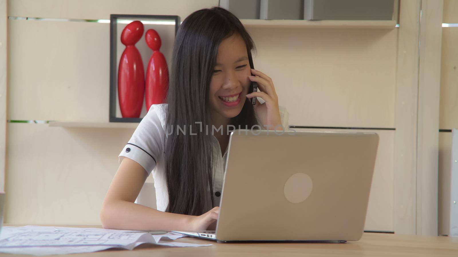 Portrait asian businesswoman talking with customer happy smile on her young friendly face.