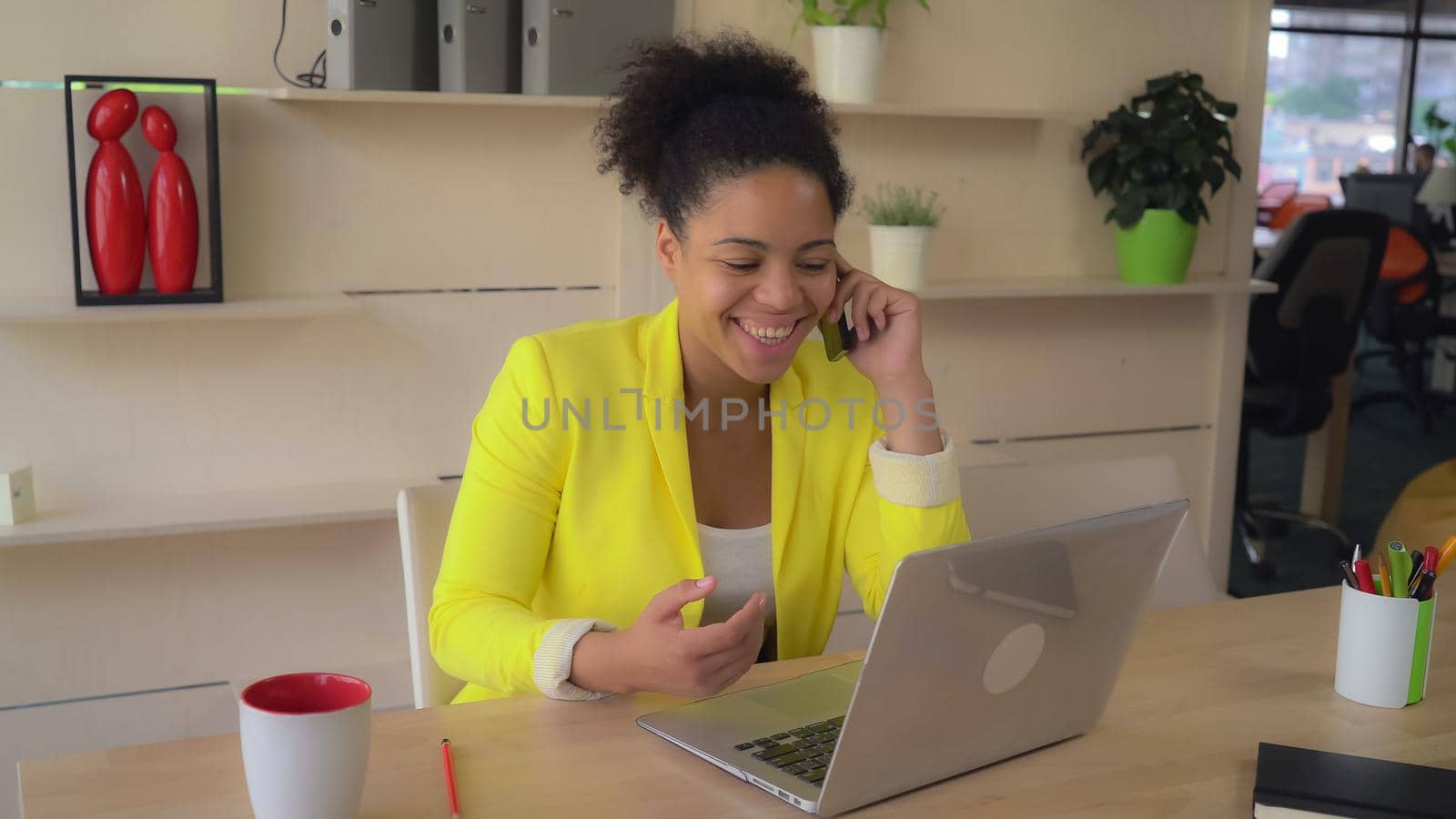 Mulatto using computer talking with client entering data on laptop