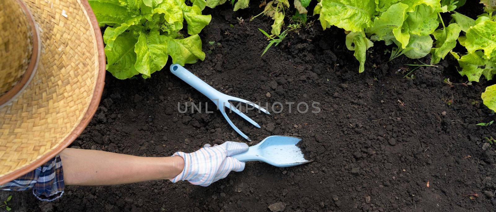 A young girl in a straw hat and gloves prepares the soil in the garden for planting seedlings. The inventory is on the ground: garden trowel and rake, top view.