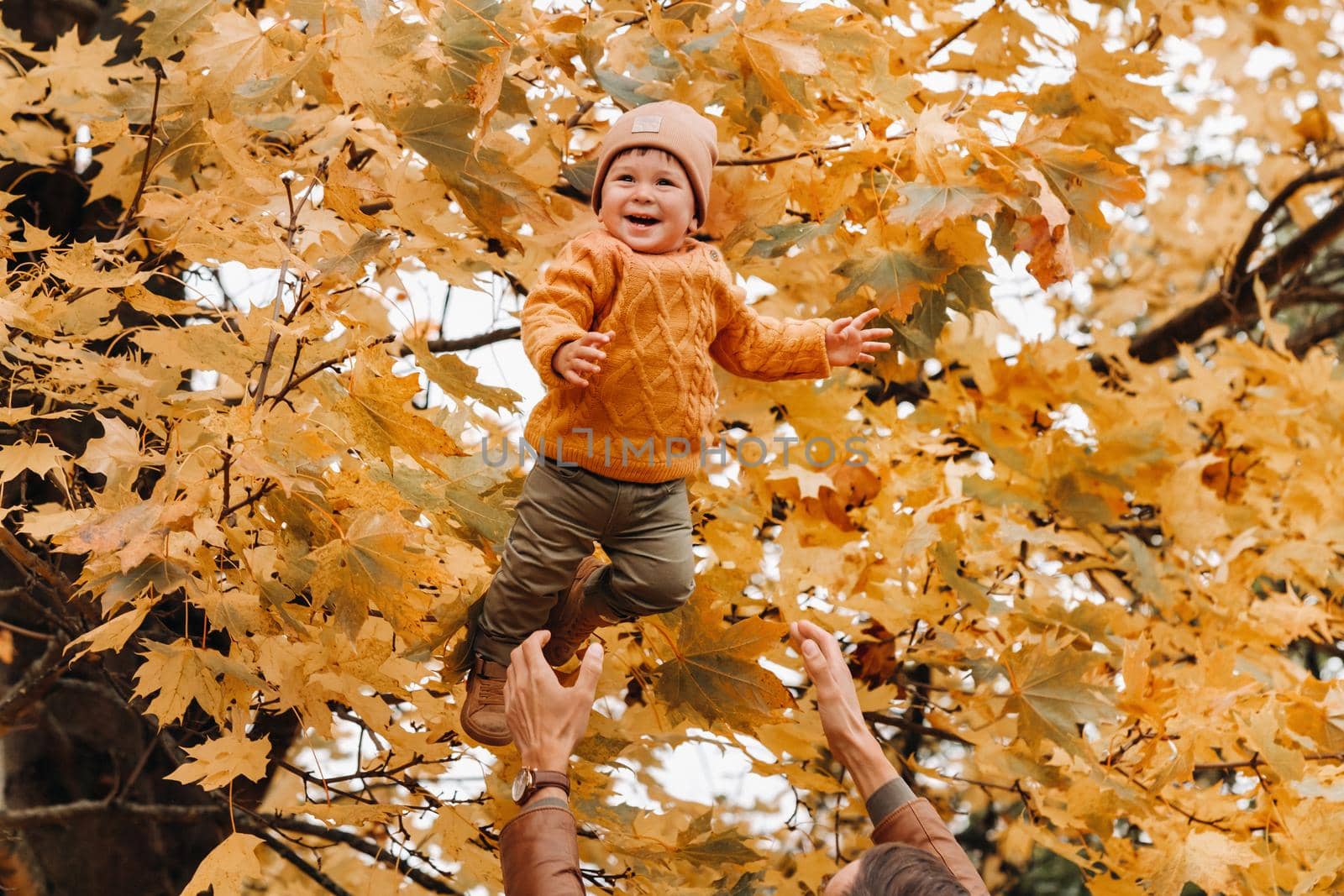 a father throws a child against the background of autumn leaves in the Park. dad throws up his son on the autumn leaves