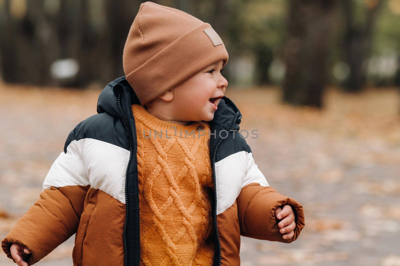 a little boy smiles in an autumn Park. A family walks through the Golden autumn nature Park