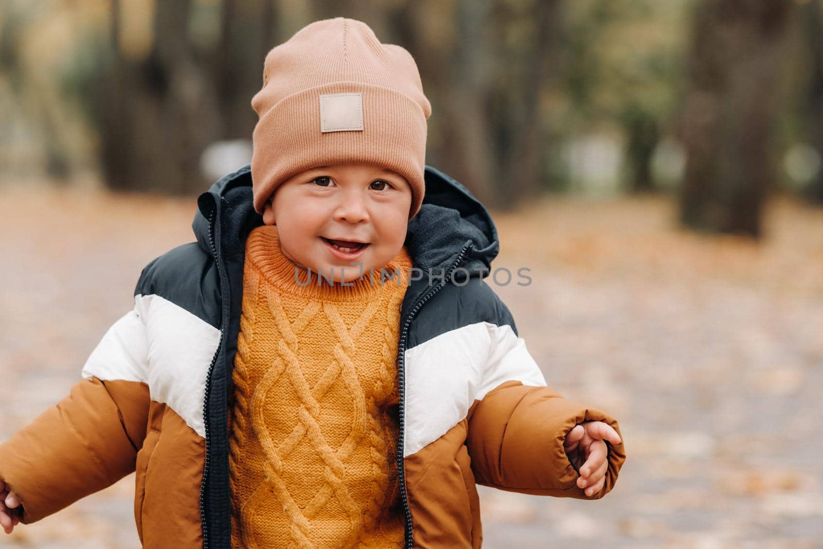 a little boy smiles in an autumn Park. A family walks through the Golden autumn nature Park