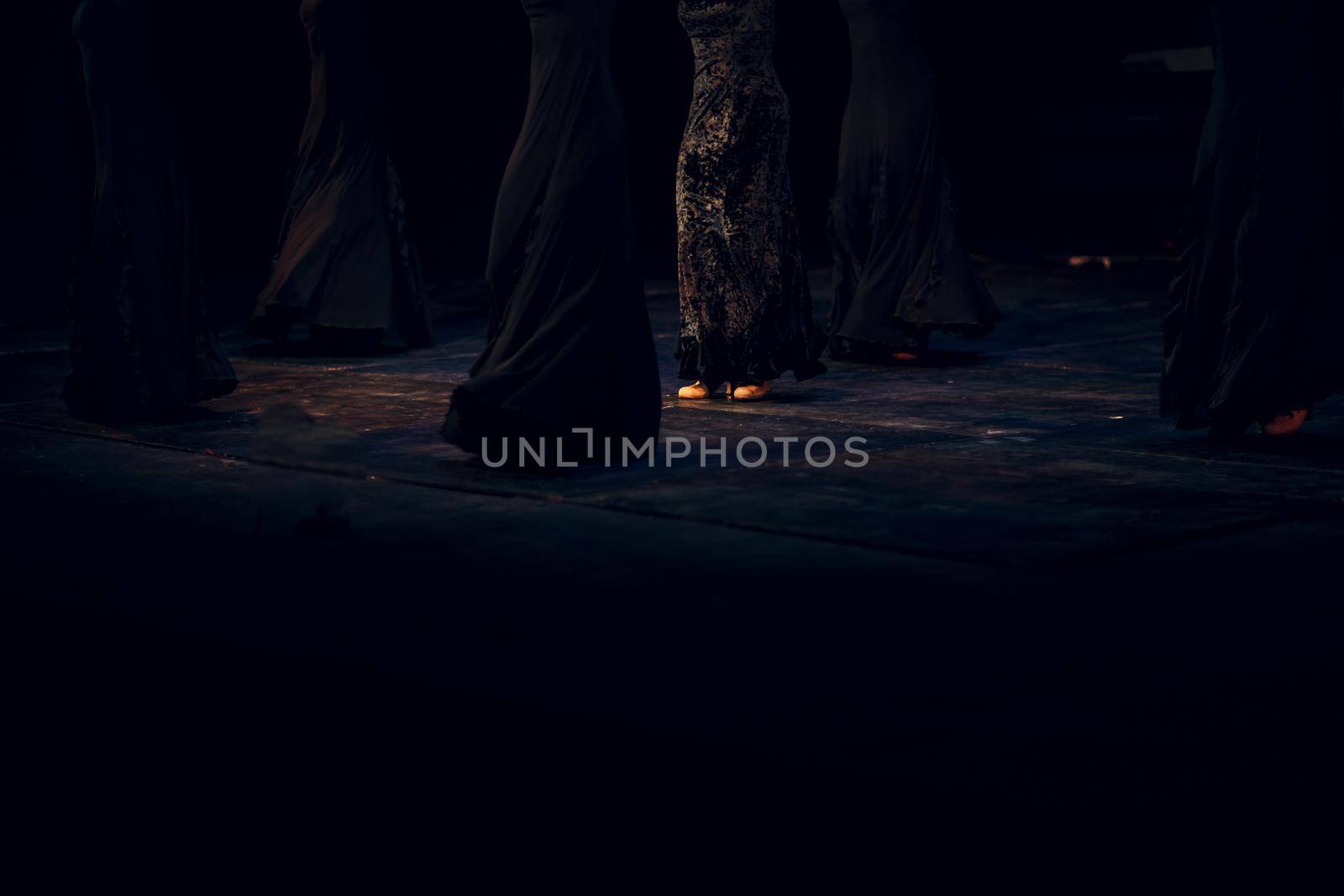 Flamenco. Performance on stage. by primipil