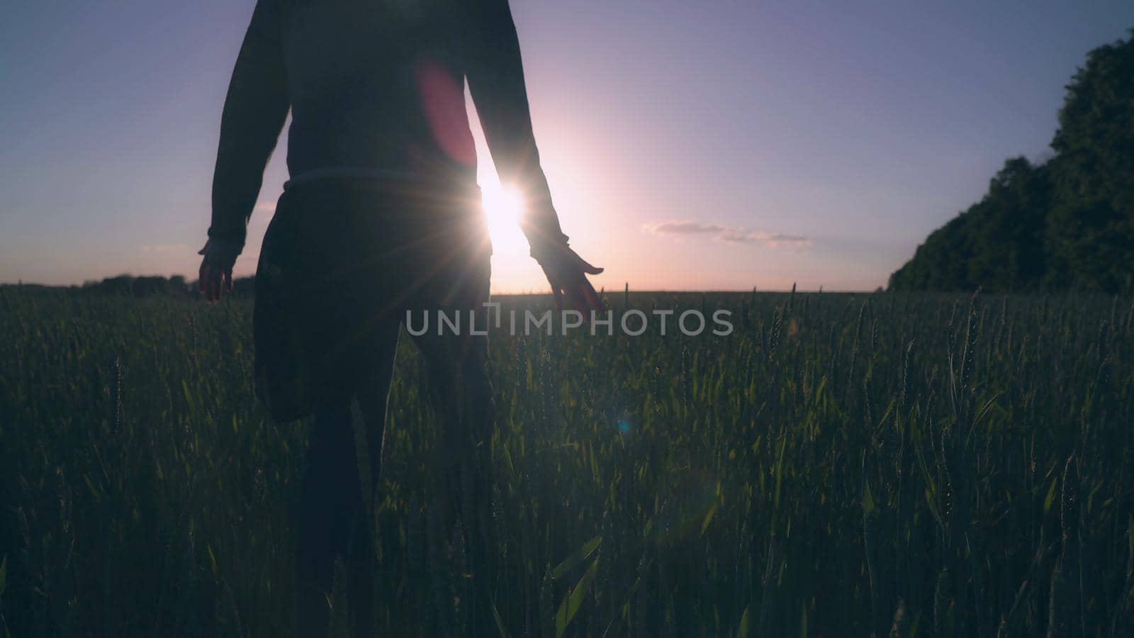 Women walking through the meadow at sundown by VadosLoginov