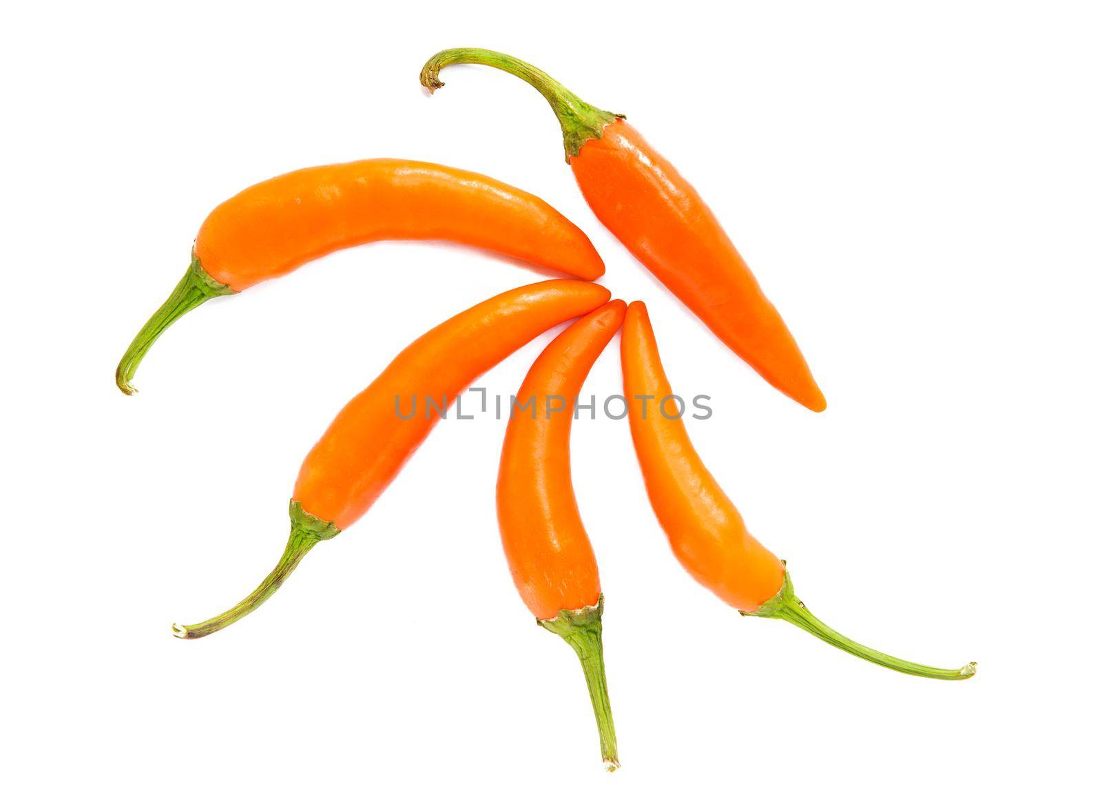 Yellow chili on white background by titipong