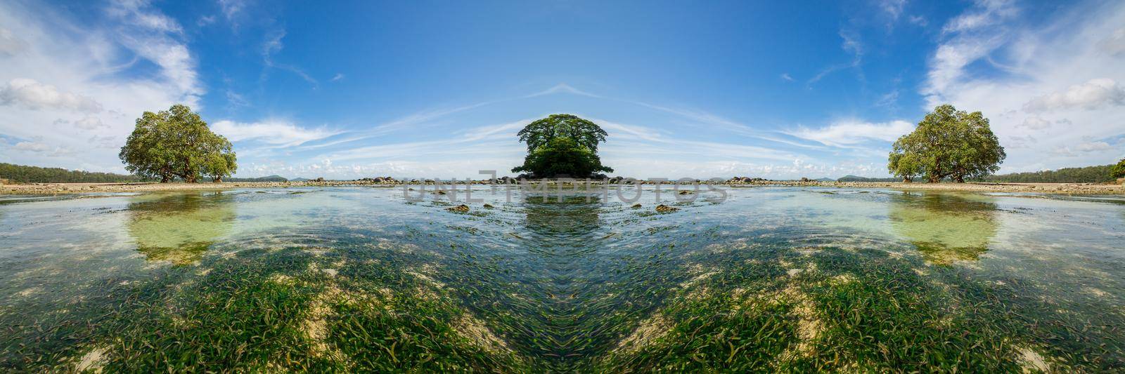 An ocean underwater reef with sun light through water surface. seagrass field