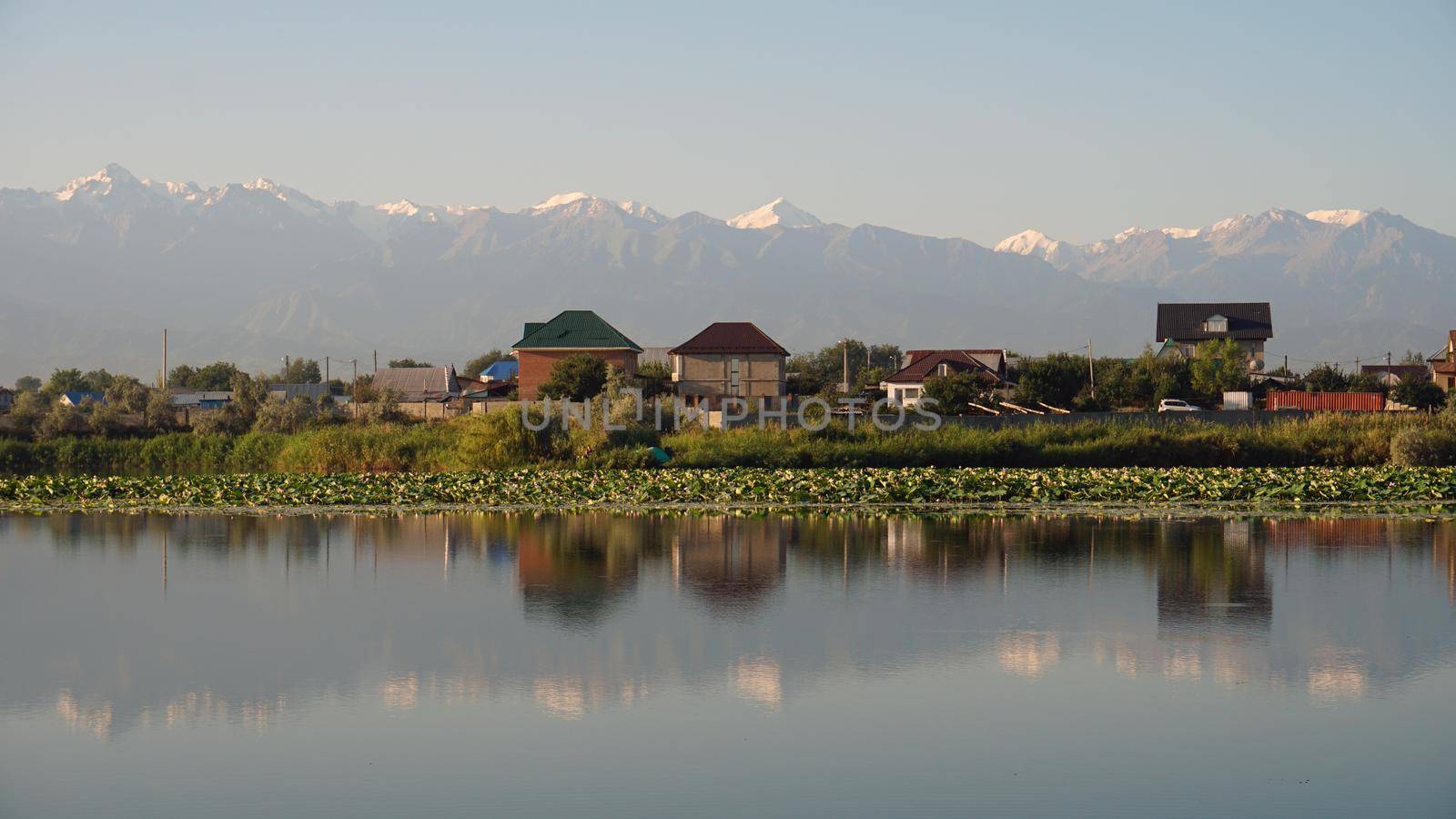 The mirror surface of the lake water reflects pink lotuses, large green water lilies, high mountains of the Trans-Ili Alatau, trees and houses. Beautiful landscape on mirror pond. Almaty, Kazakhstan