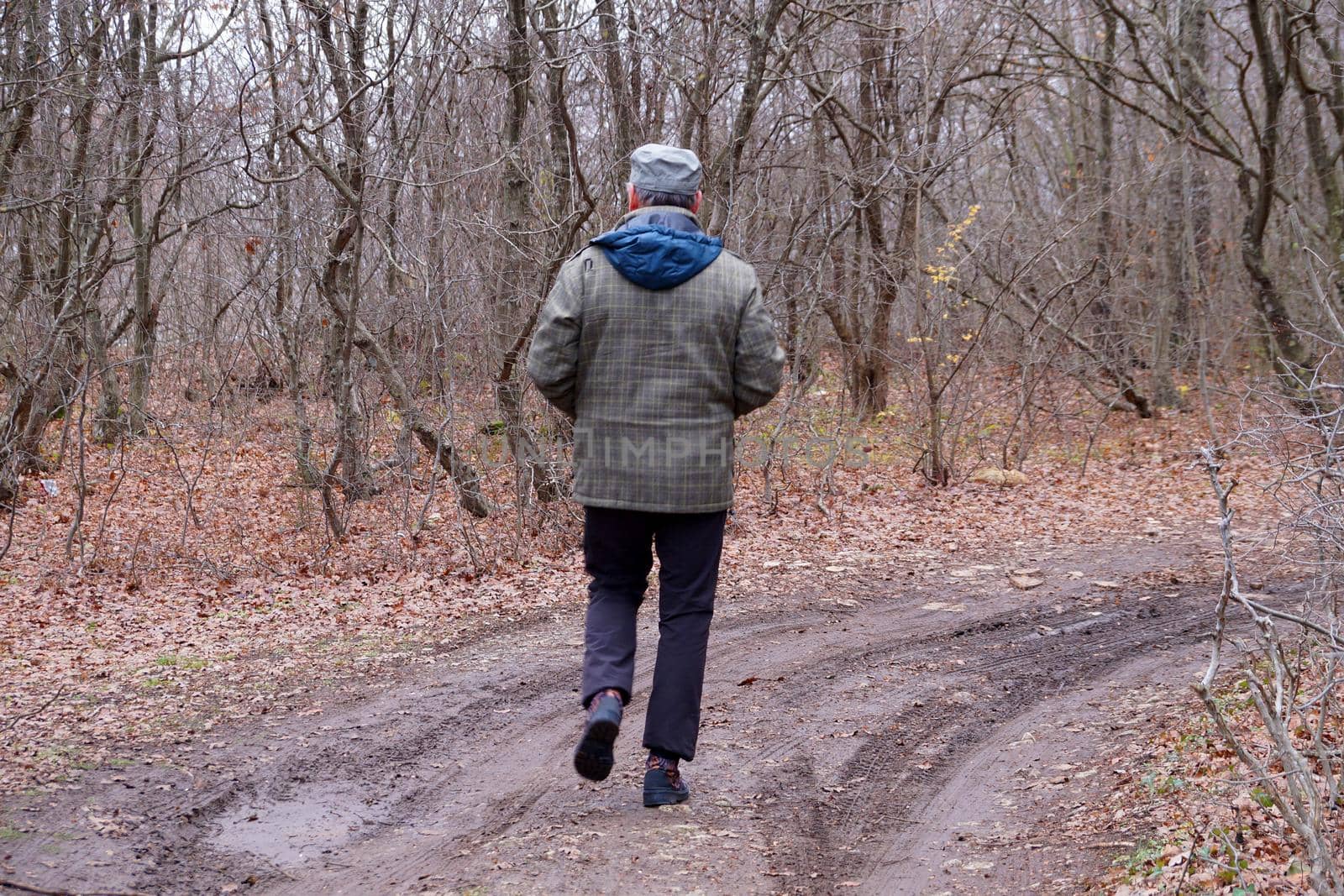 man walking along a forest road, rear view.