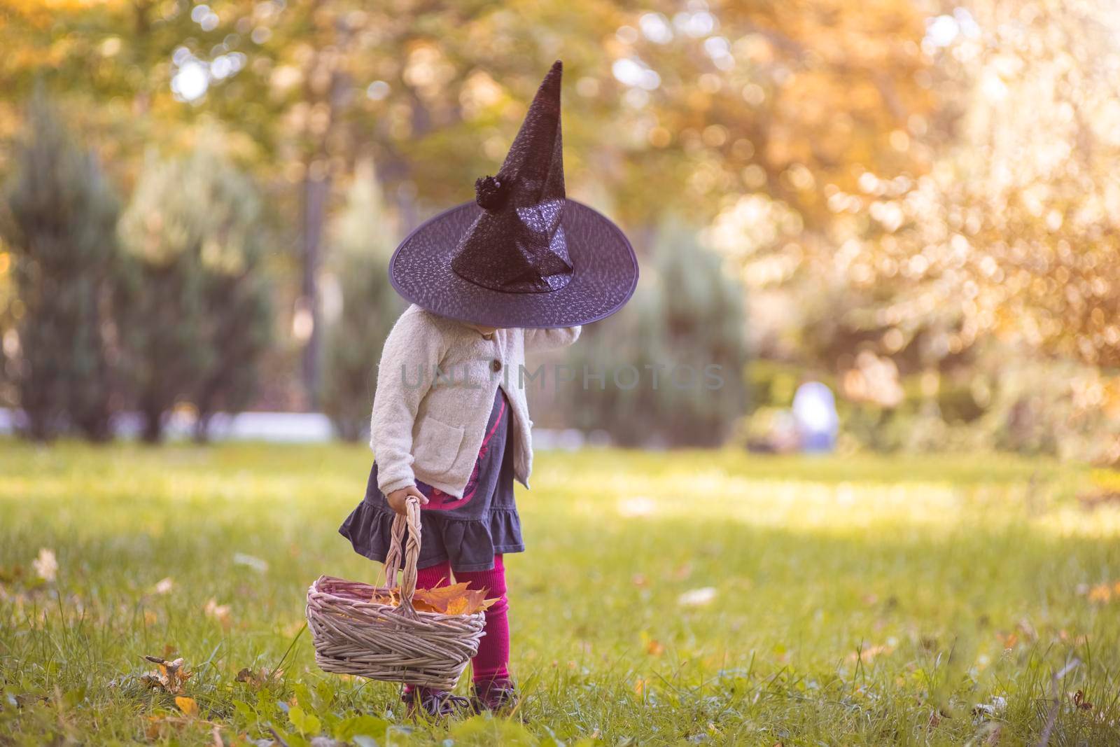 little witch dressed girl in autumn park. halloween concept