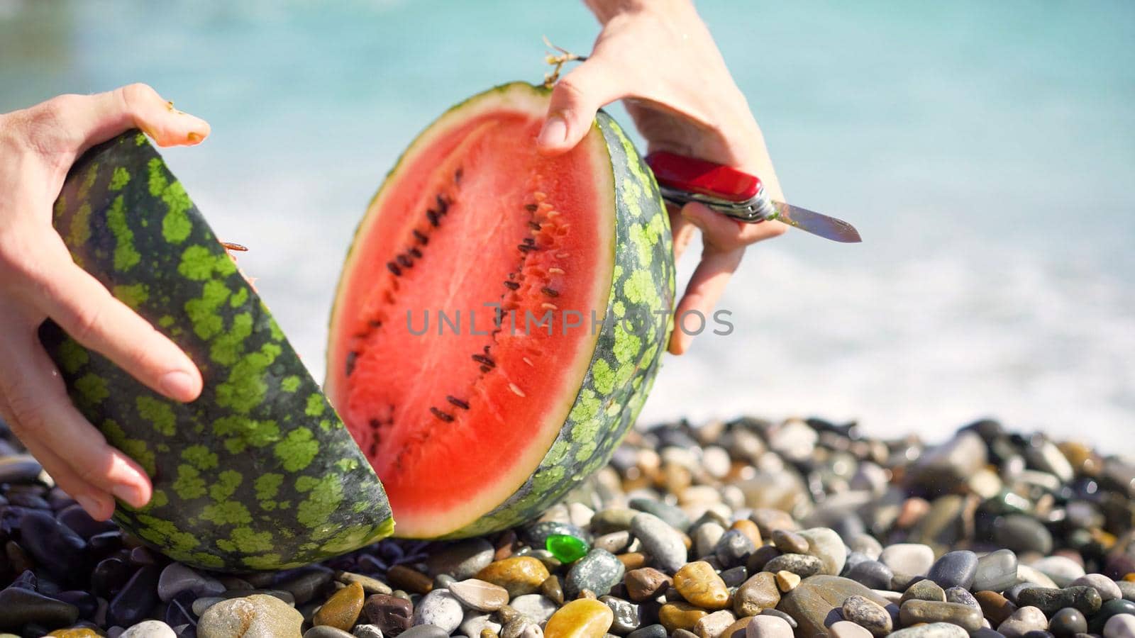 Fresh juicy watermelon on the beach with sea and blue sky. Watermelon on the background of the sea.