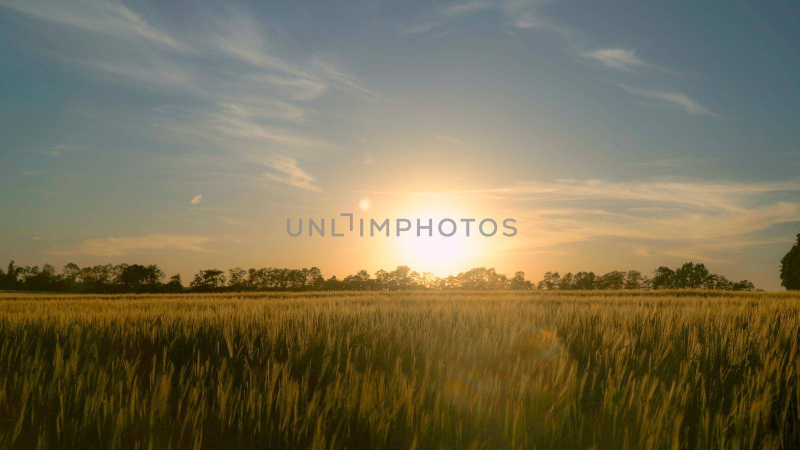 Man in casual clothes going through the field in sunset. Silhouettes male outdoors enjoy freedom and nature. Beautiful sun in sundown summer season.
