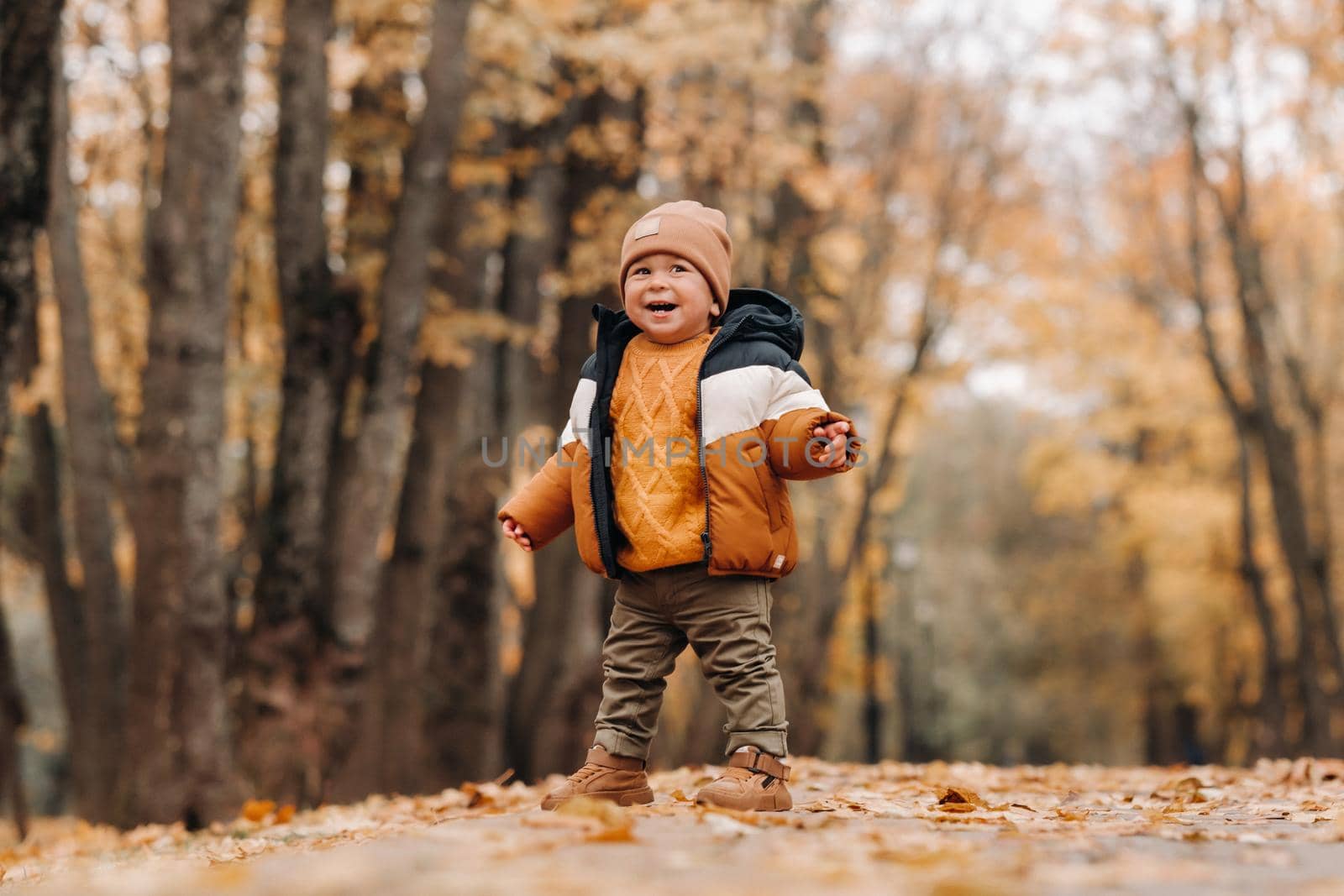 a little boy smiles in an autumn Park. A family walks through the Golden autumn nature Park. by Lobachad