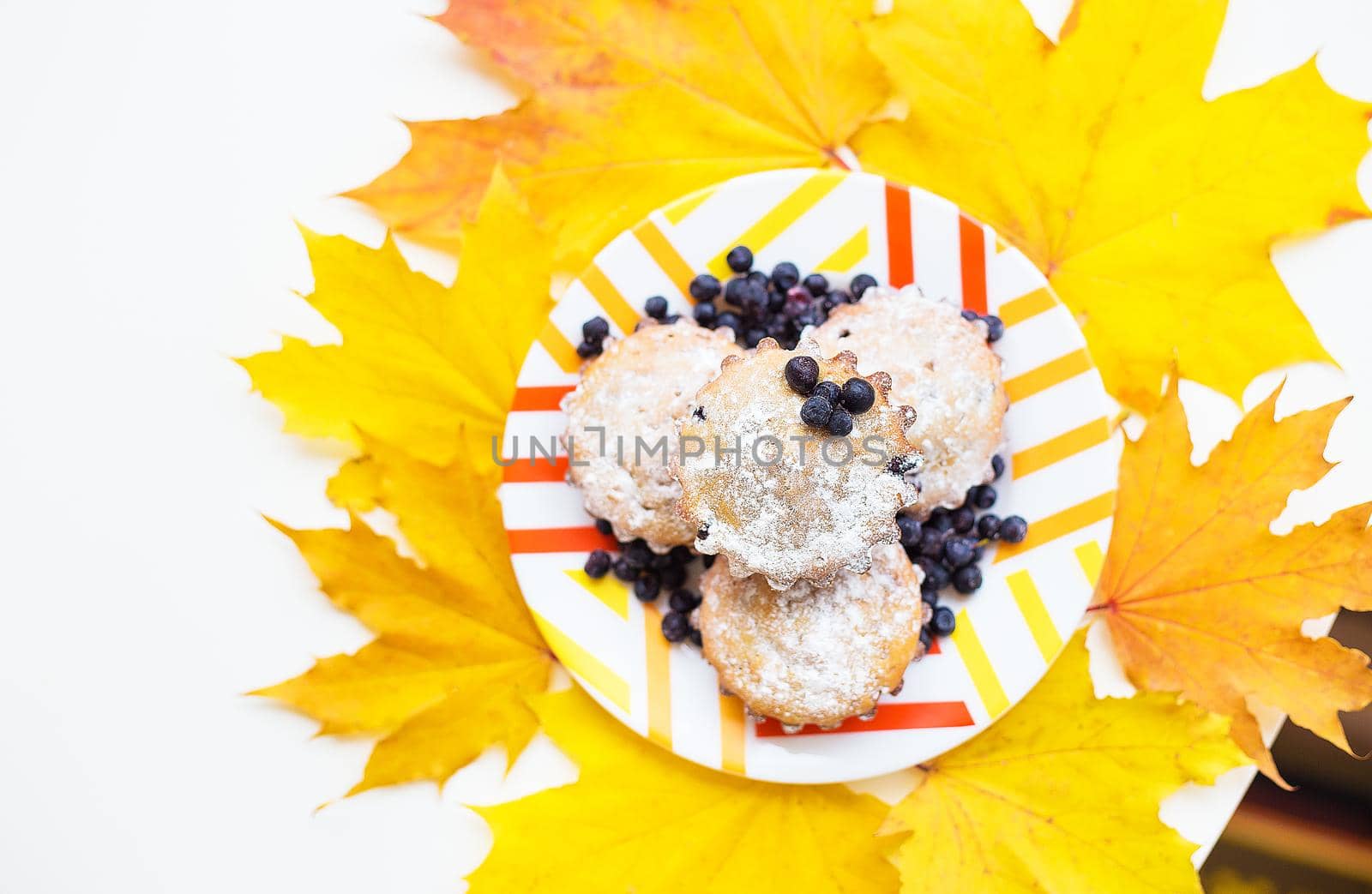 Blueberry muffins on plate color and yellow autumn leaves, close-up