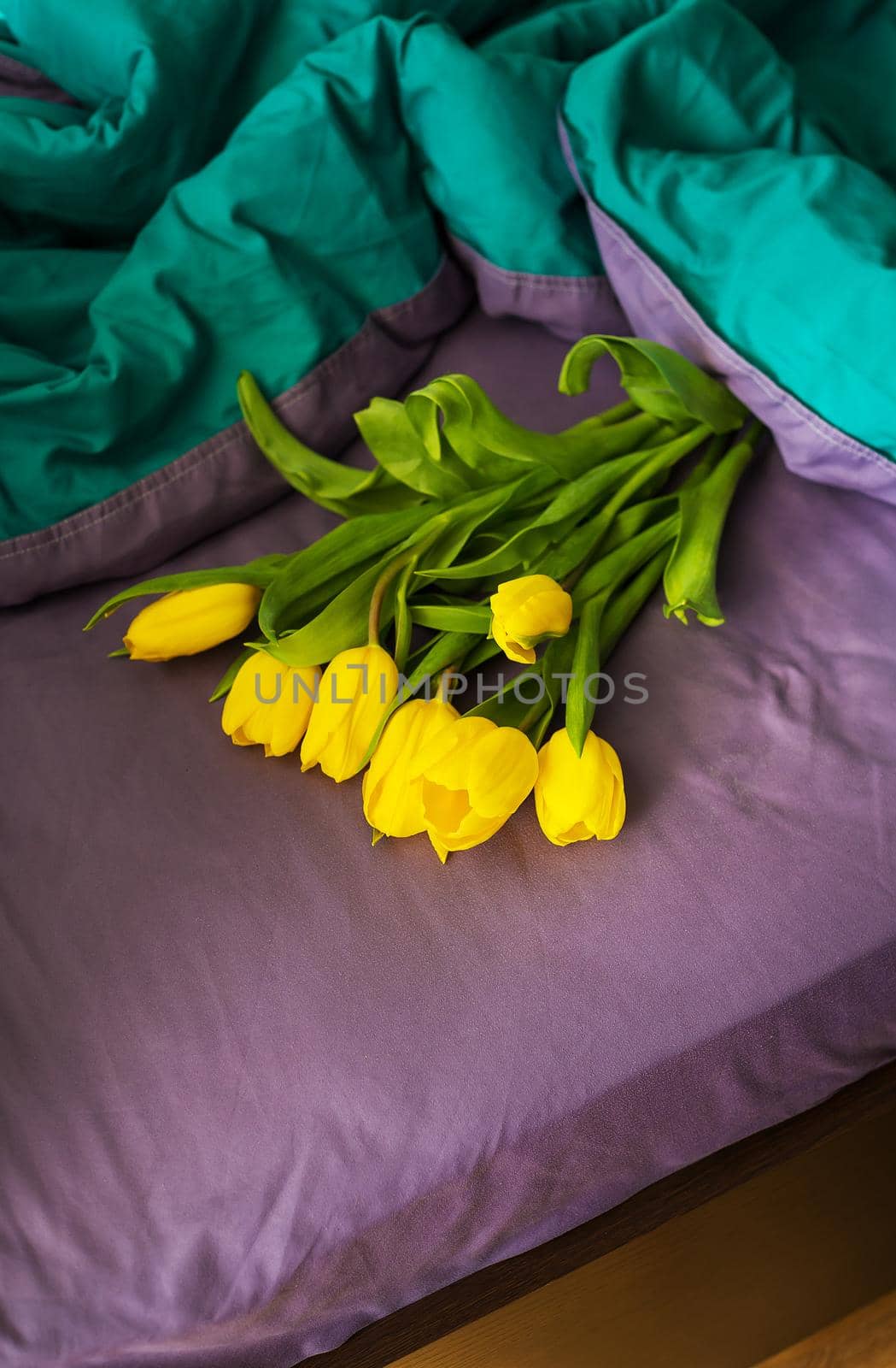 Beautiful yellow tulips in a bed, close-up. valentine card