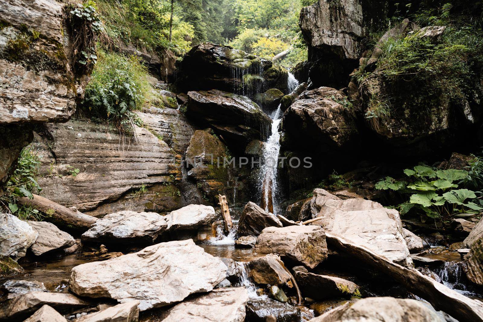 Mountain creek stream flowing through the autumn forest in Russia