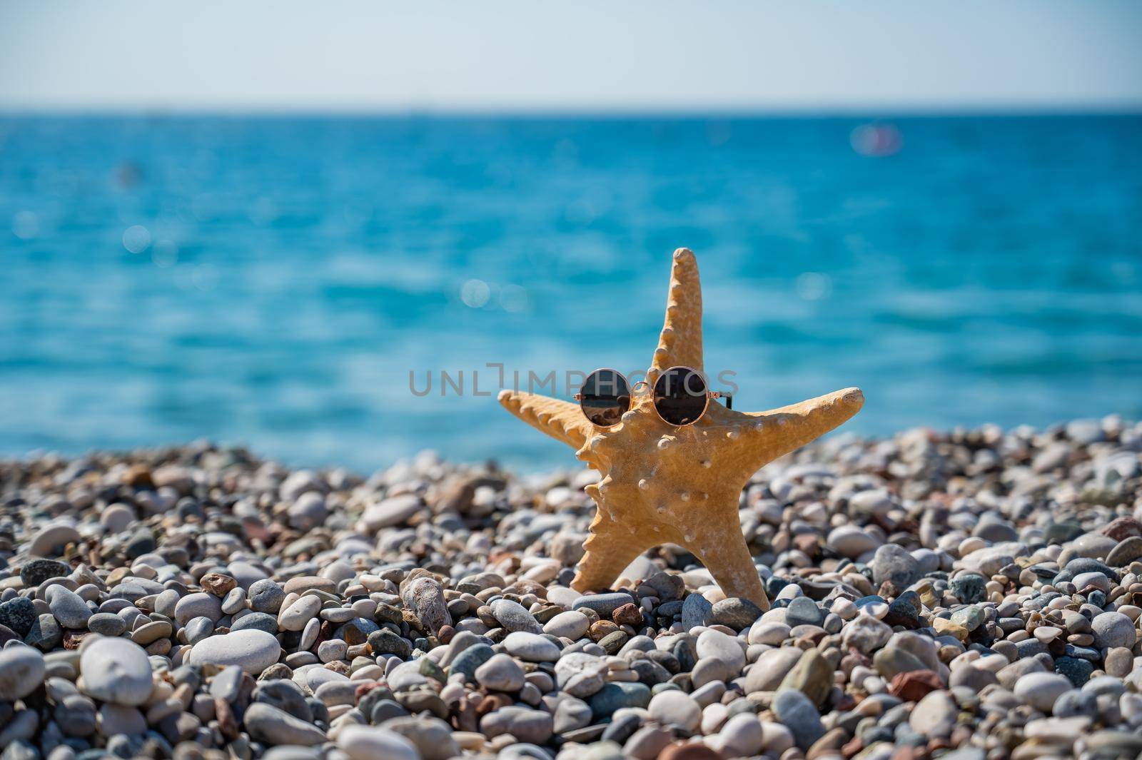 Starfish in sunglasses on a pebble beach by the sea. by mrwed54