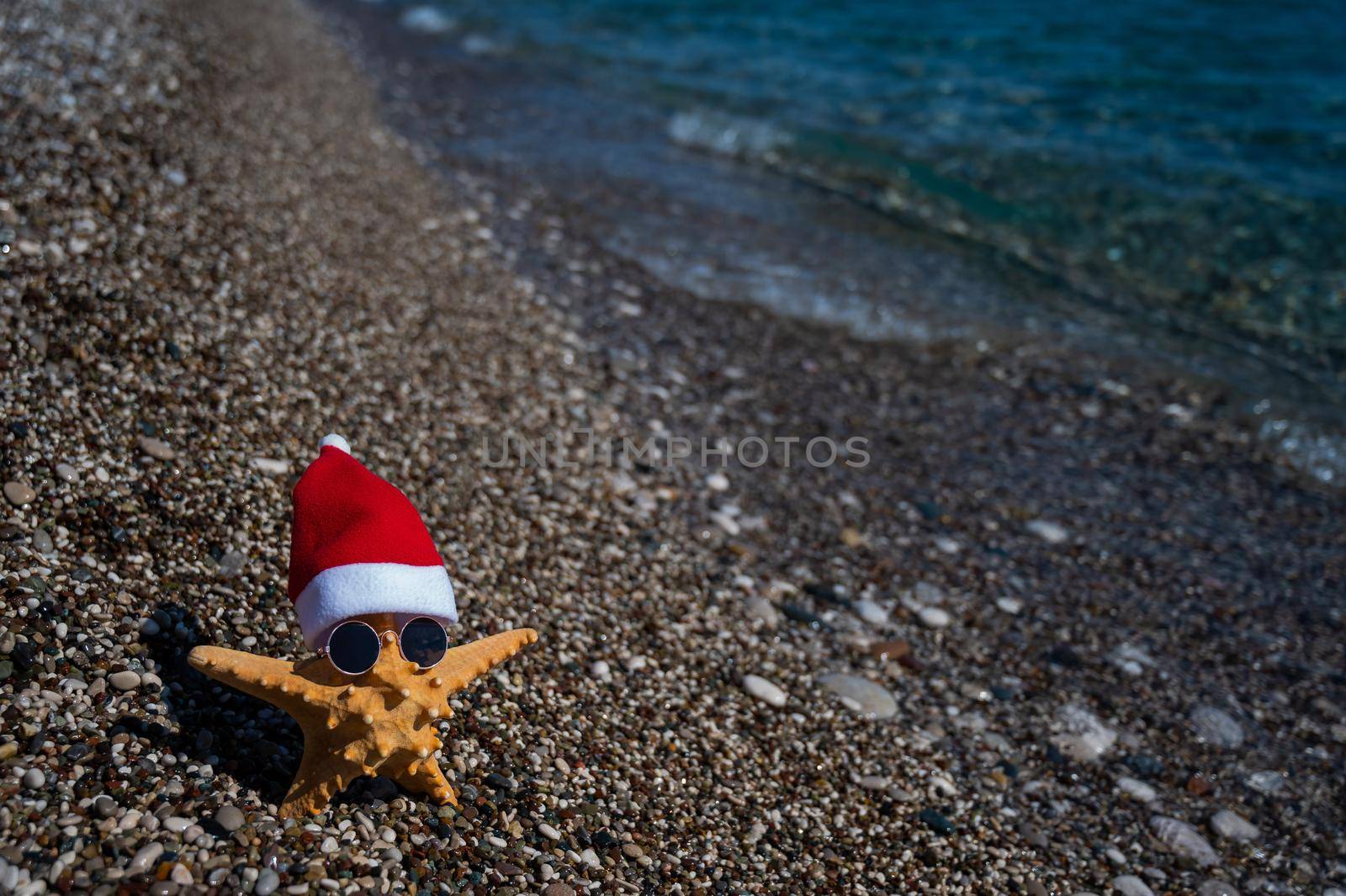 Starfish in santa claus hat and sunglasses on a pebble beach by the sea. by mrwed54