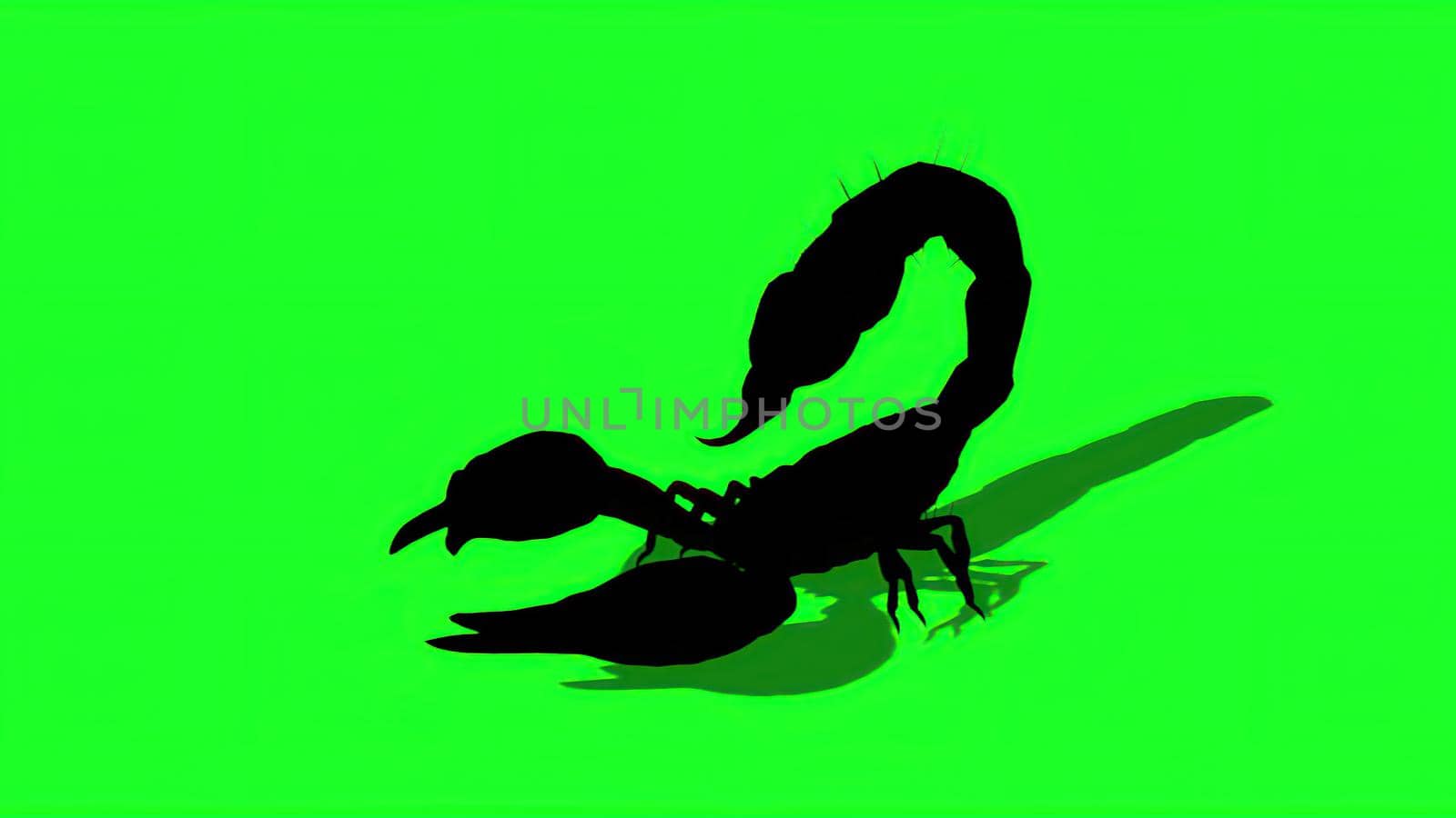 3d illustration - silhouette of Forest scorpion in an aggressive posture