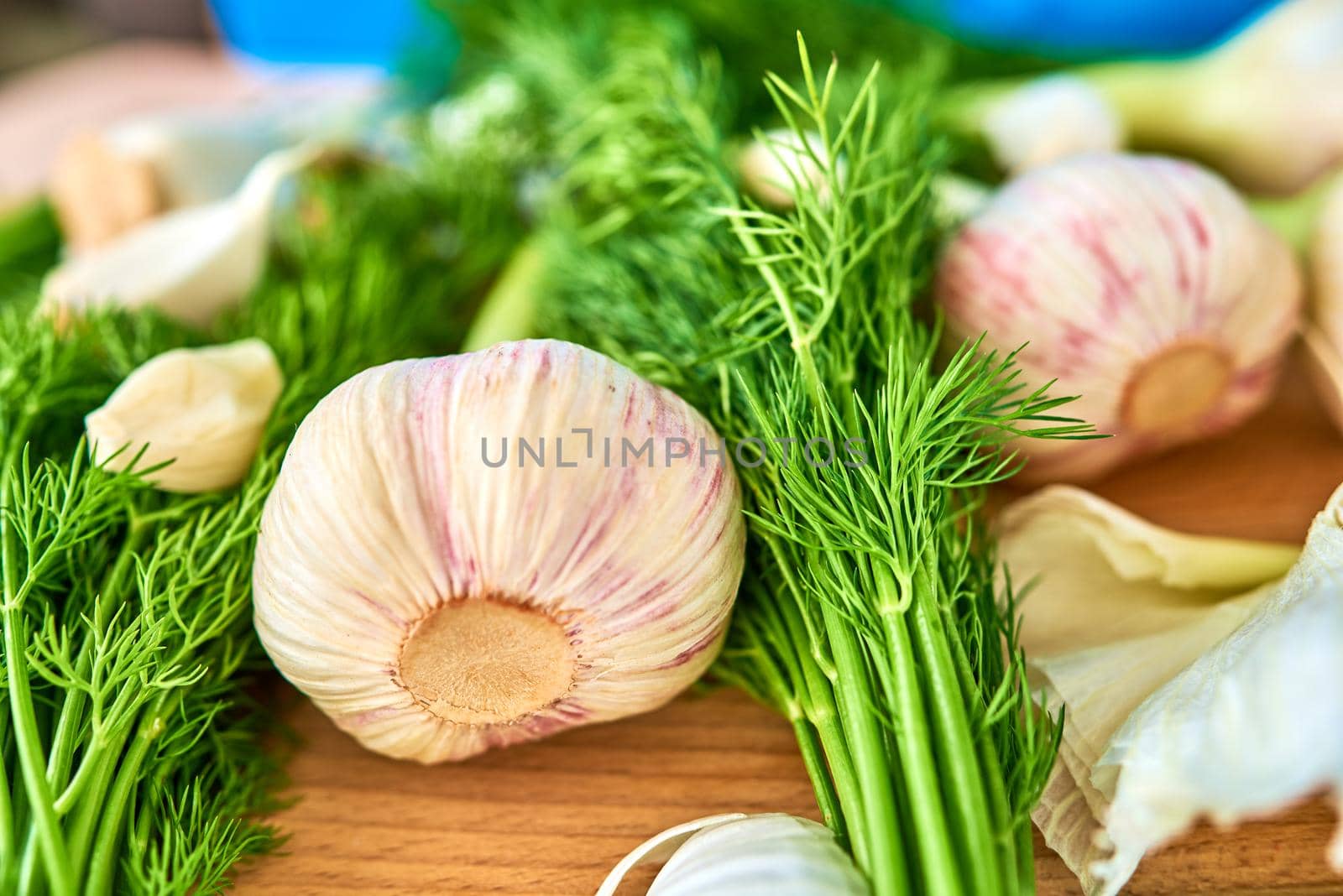 A few heads and cloves of young fresh garlic lie on a cutting board, surrounded by dill. Selective focus