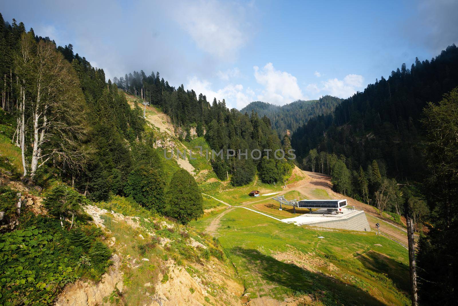 Panoramic view of a glade in summer forest for a background