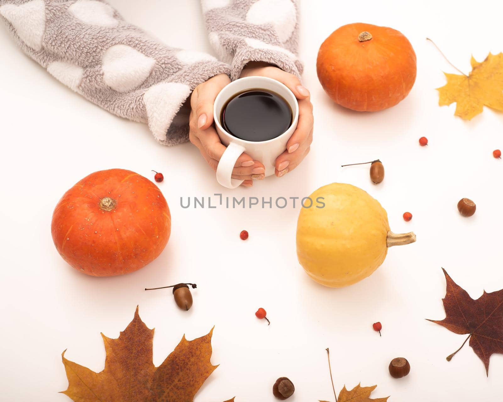 A woman holds a cup of black coffee near the yellow maple leaves of a pumpkin on a white background. Autumn flat lay. by mrwed54