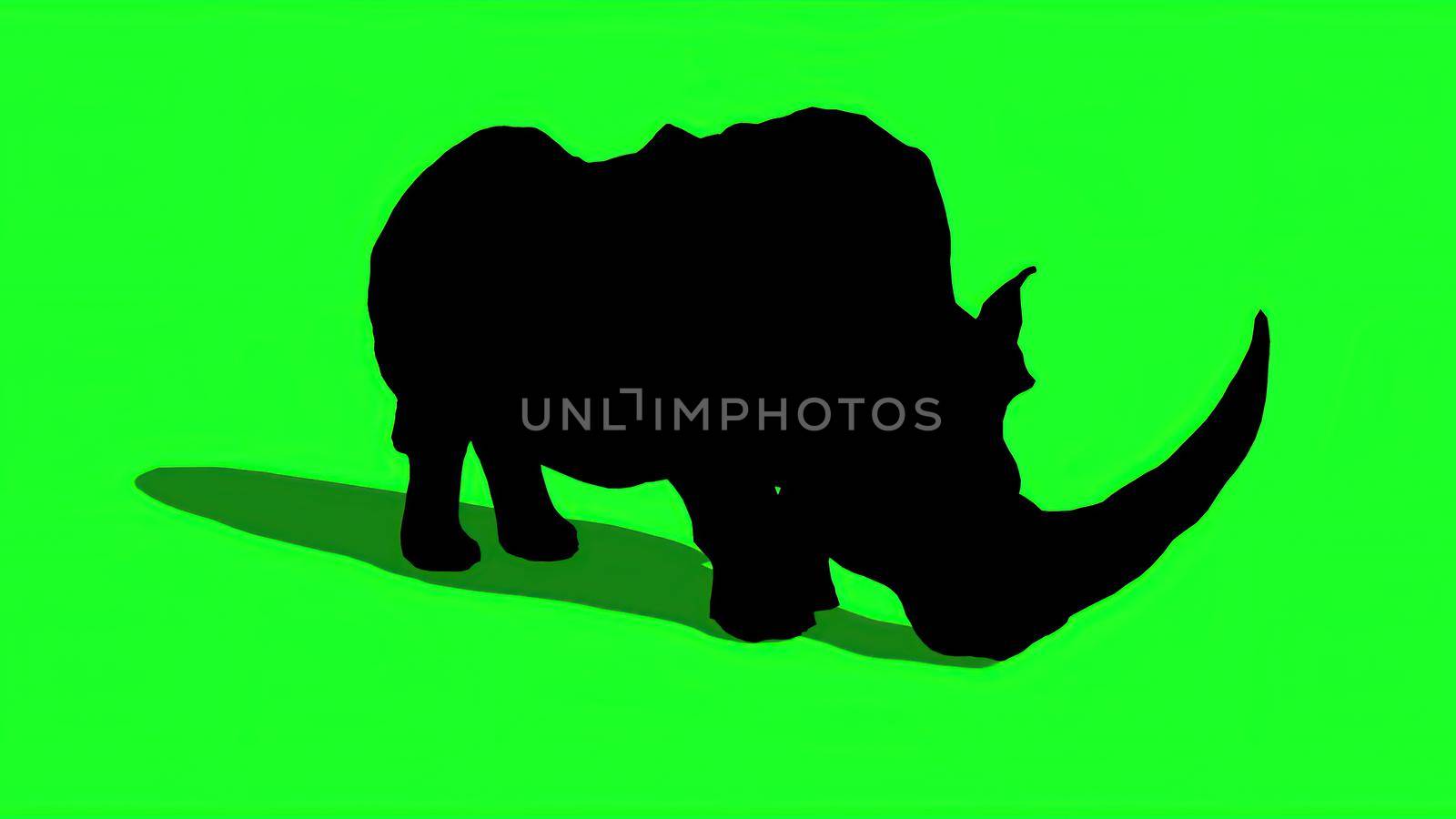 3d illustration - silhouette of Rhinoceros   on  Green Screen by vitanovski