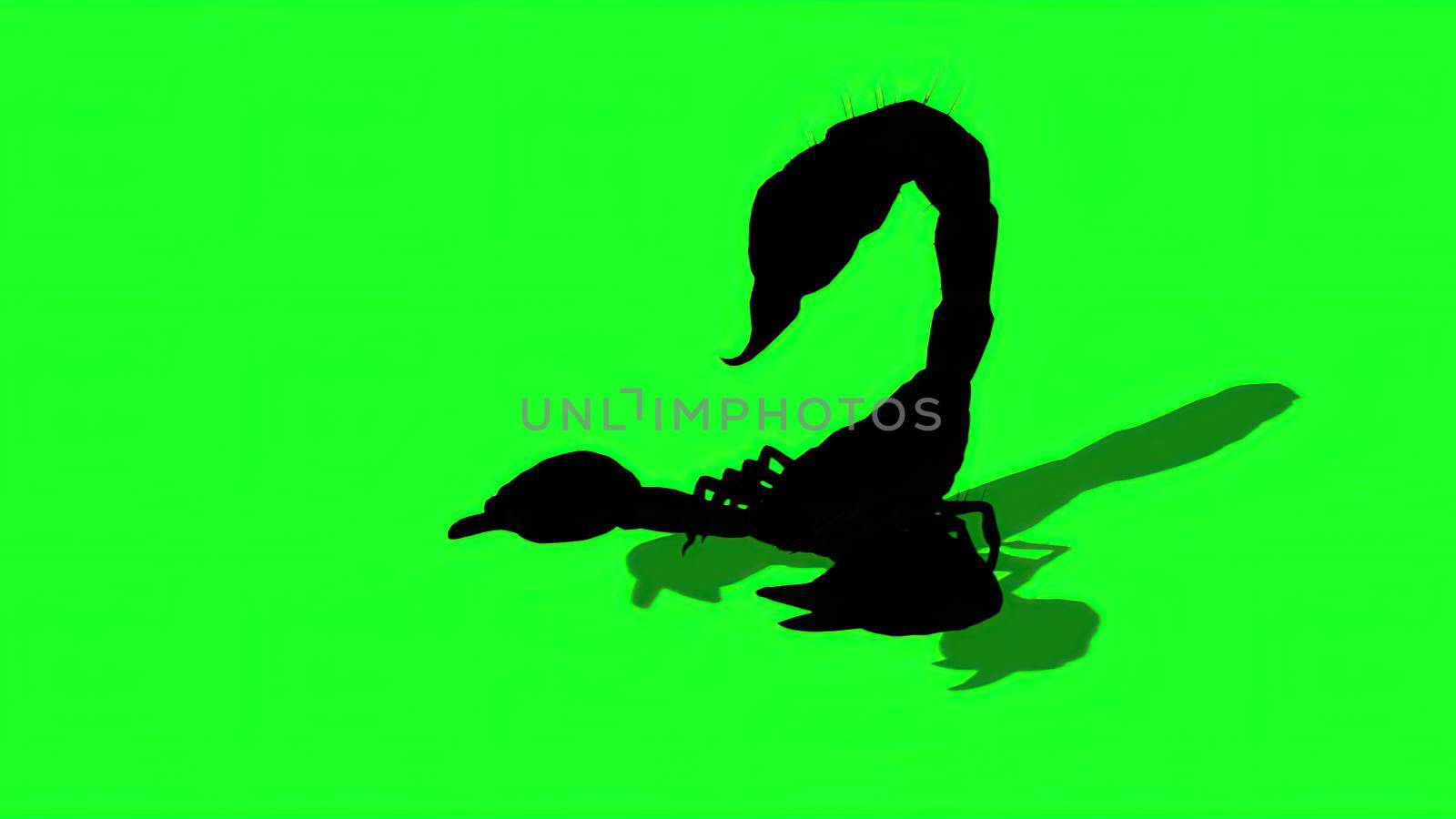 3d illustration - silhouette of Forest scorpion in an aggressive posture