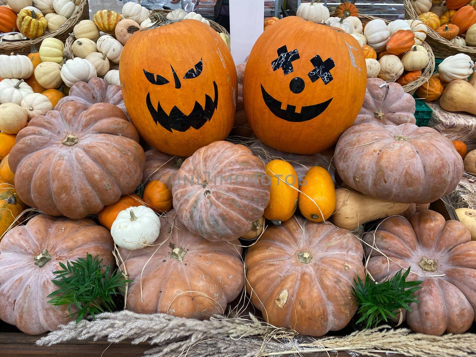 Close-up of pumpkins at the bazaar. Background. Texture