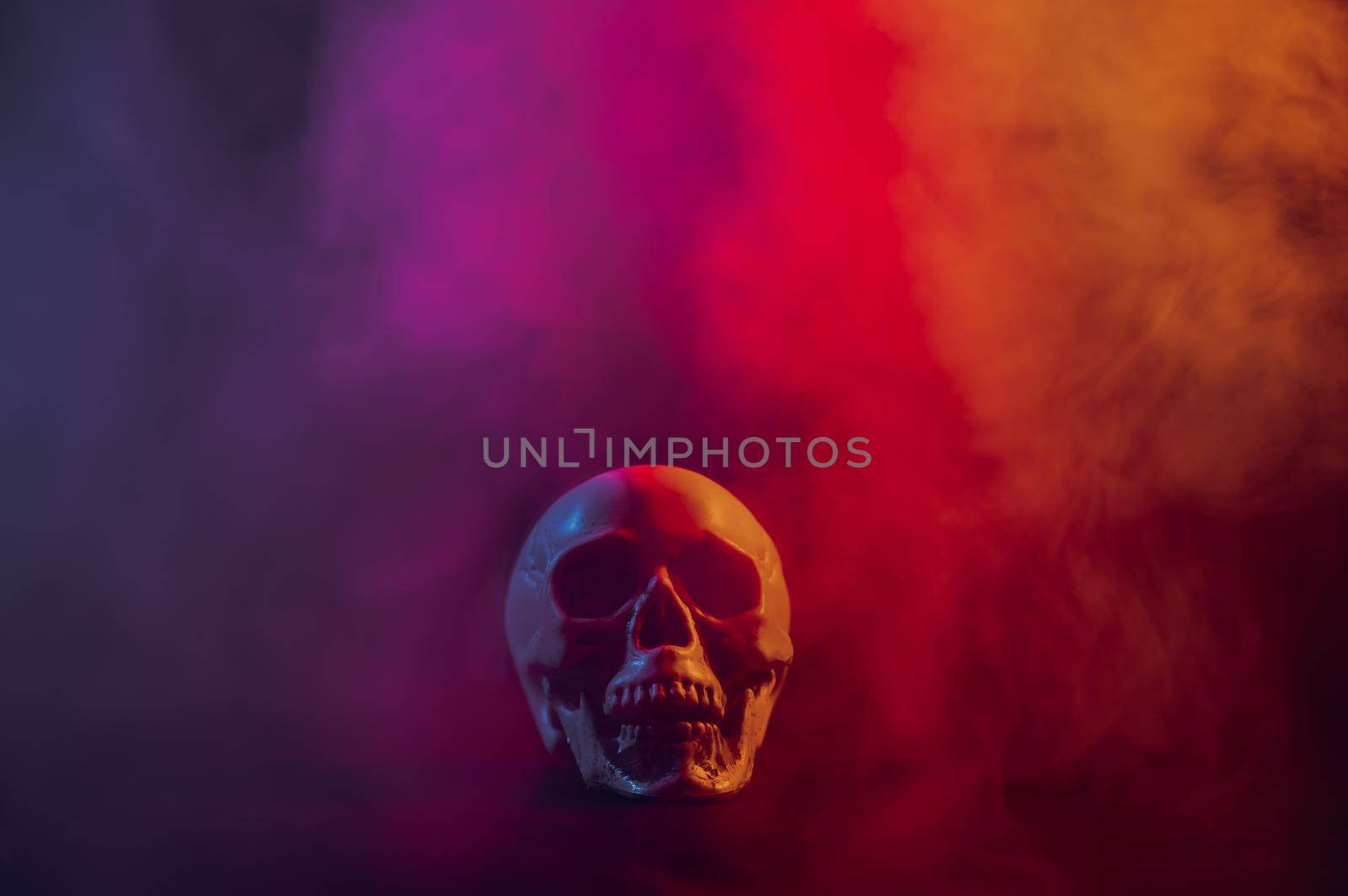 Human skull in pink and blue smoke on a black background. Halloween. by mrwed54