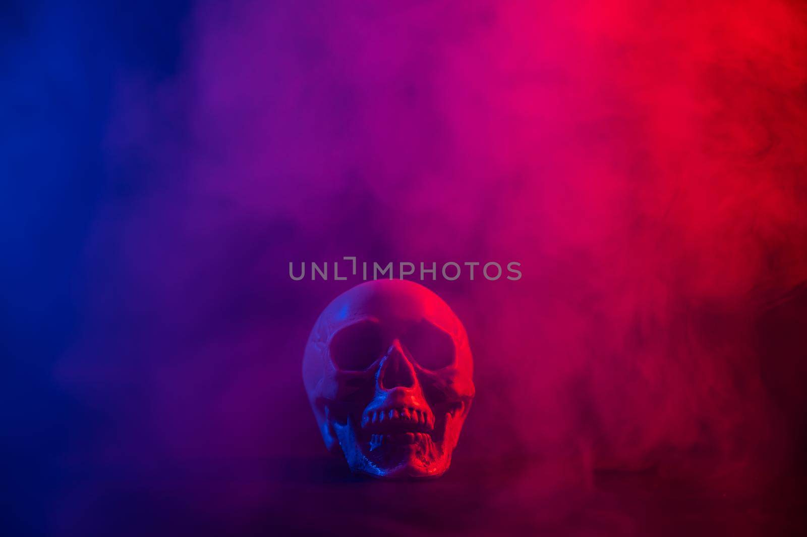 Human skull in pink and blue smoke on a black background. Halloween. by mrwed54