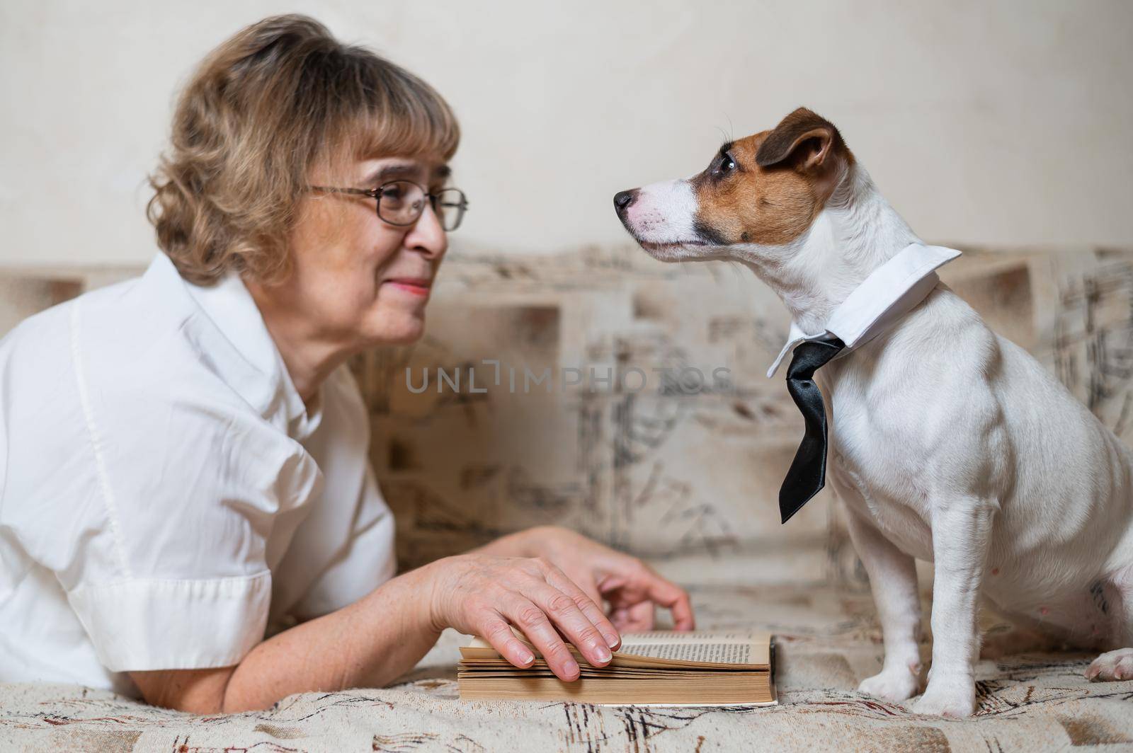 An elderly caucasian woman is lying on a sofa with a smart dog jack russell terrier wearing glasses and a tie and reading a book