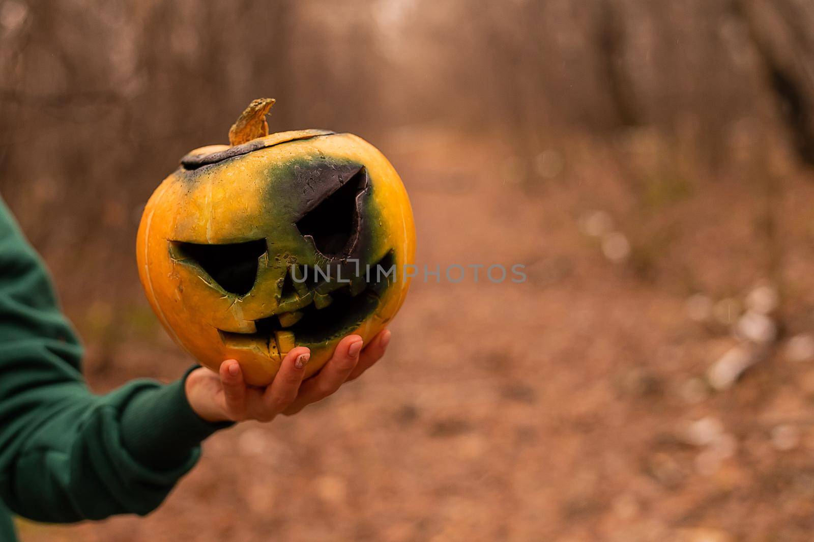 A witch holds a creepy pumpkin in a dense autumn forest. Jack o lantern for halloween by mrwed54