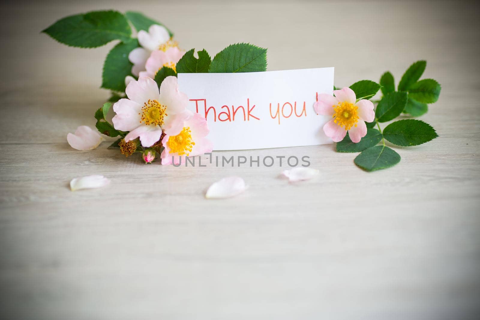 beautiful pink small roses on a branch, on a wooden table.