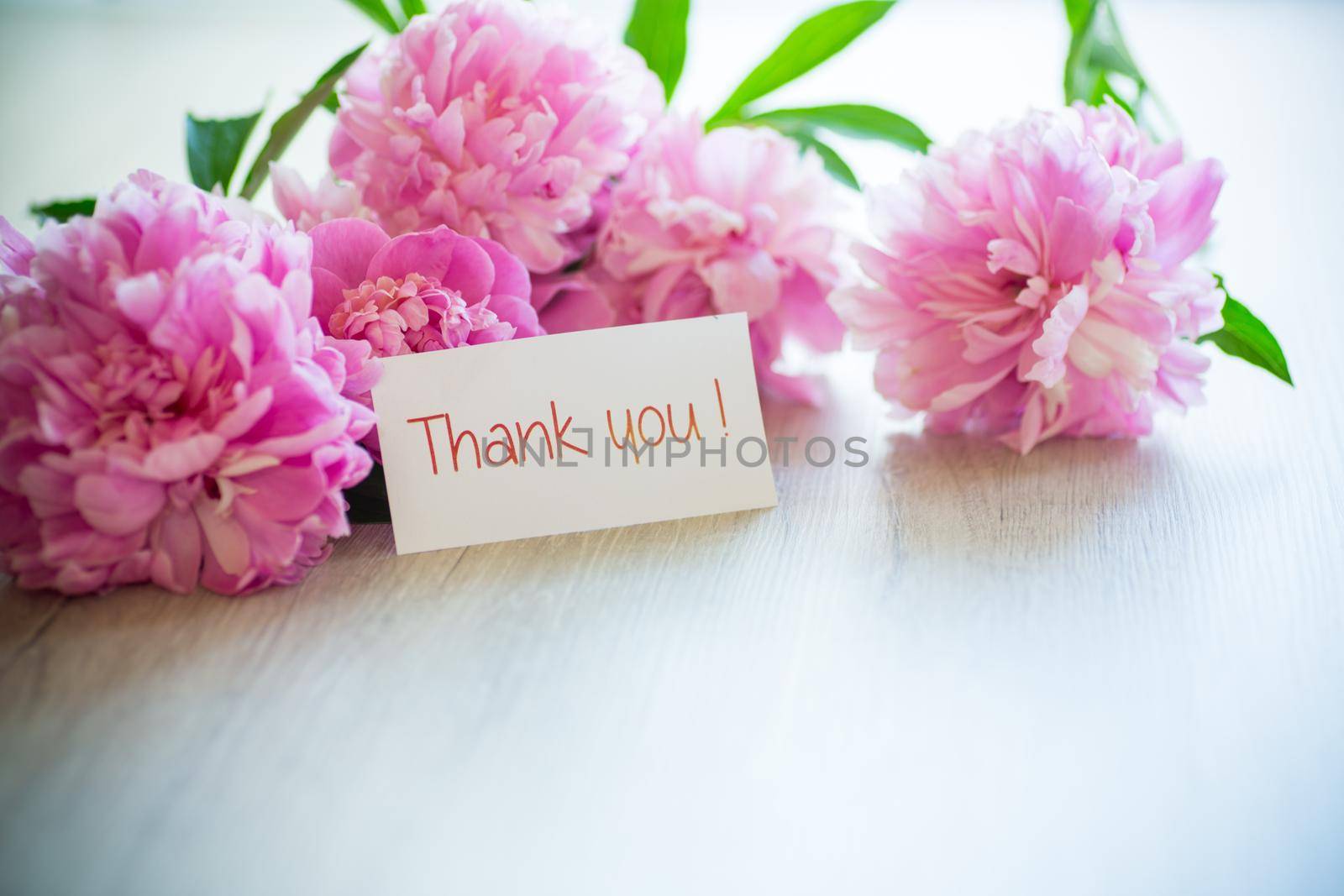 several branches of blooming pink peonies on a wooden background