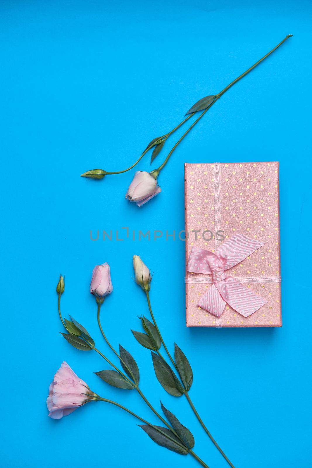 gift box flowers celebration birthday blue background by Vichizh