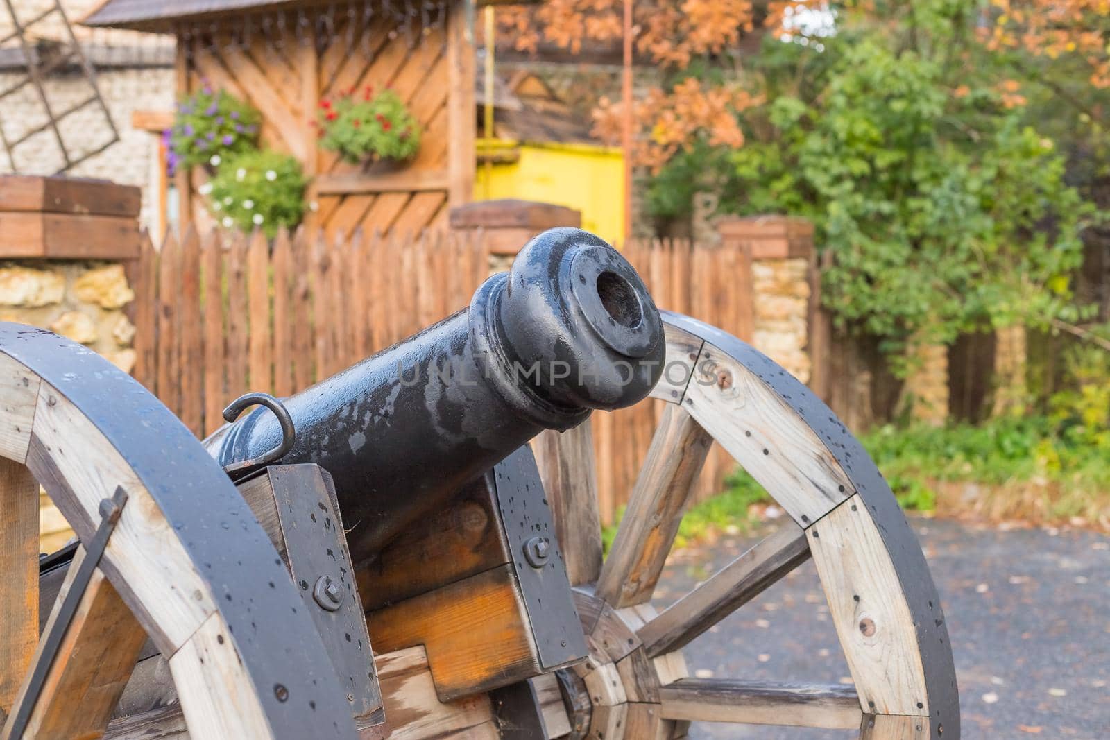 The old brass cannons in the battlefield.old metal cannons standing on two wooden supports on a grassy lawn or field seen on a sunny summer day on countryside next to a forest by YuliaYaspe1979