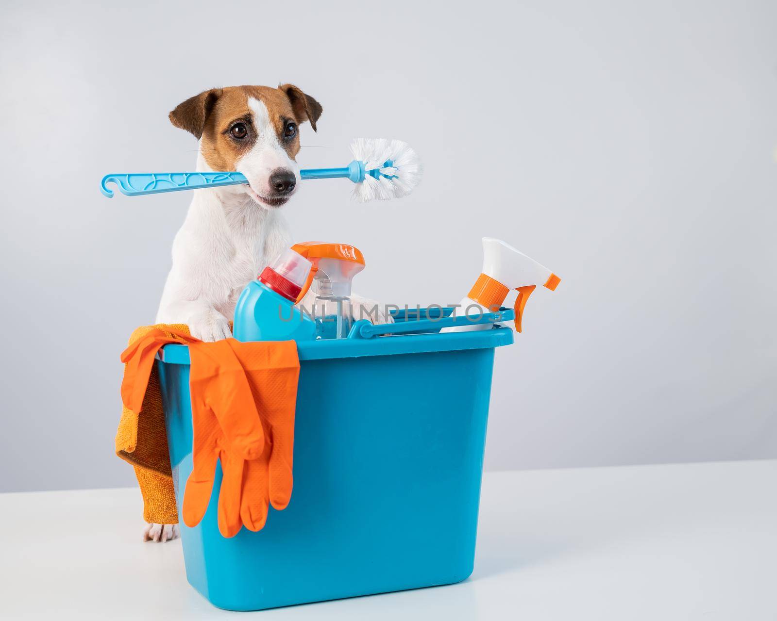 Cleaning products in a bucket and a dog holding a toilet brush on a white background