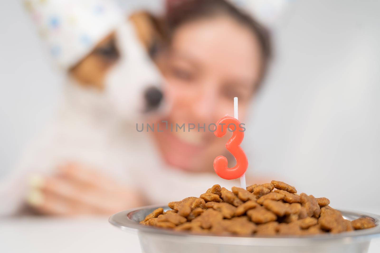 Caucasian woman congratulates her dog on the 3rd birthday. Jack Russell Terrier blows out the candle by mrwed54
