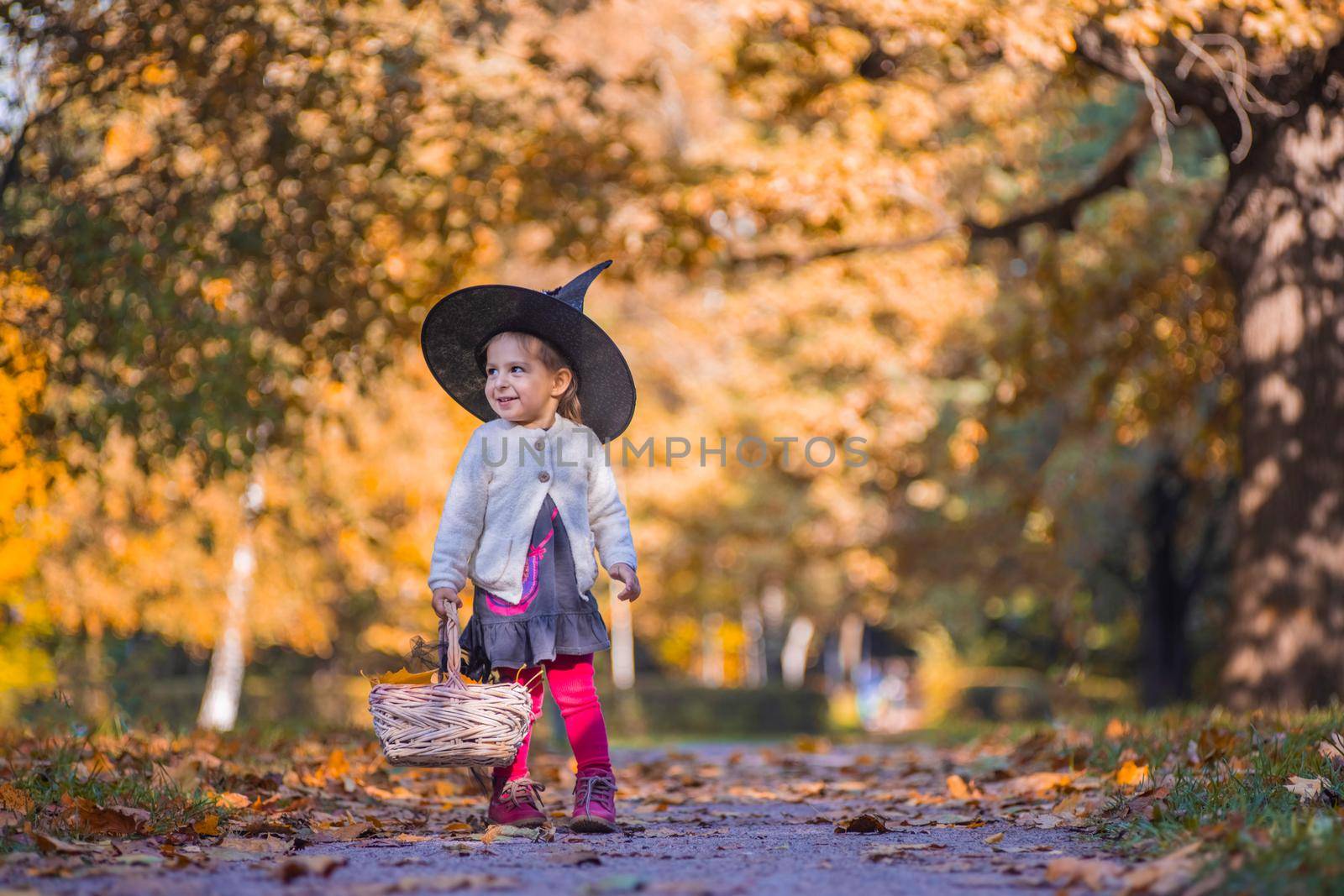 little witch on sunny autumn forest background.