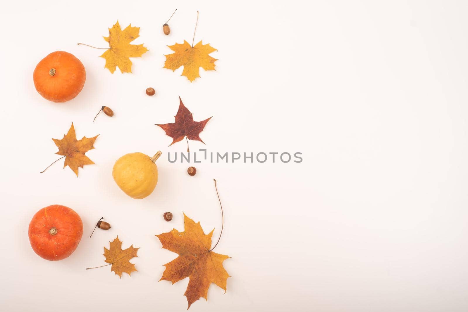 Autumn flat lay. Maple leaves, pumpkins and acorns on a white background. Copy space.