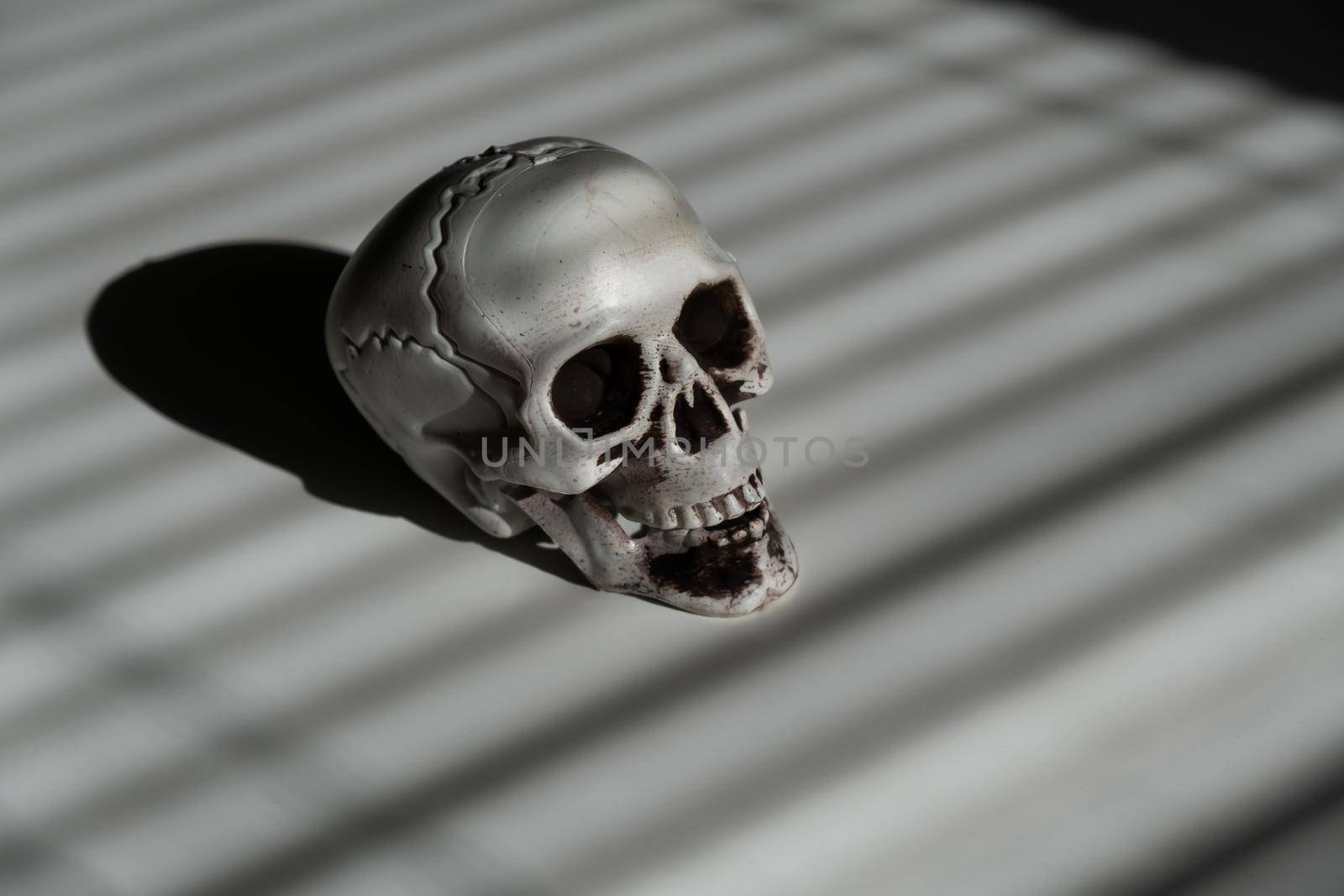 Blinds shadow on a plastic skull on a white table.