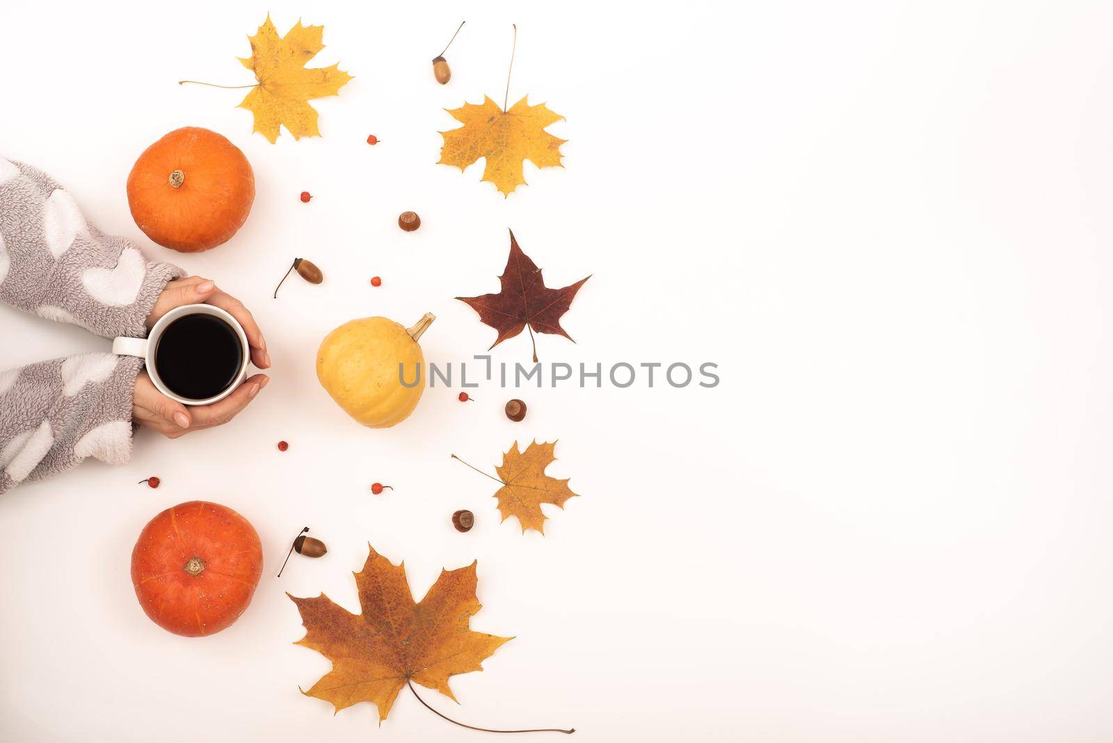 Autumn flat lay. Maple leaves, acorns on a gray blanket. A woman is holding a cup of black coffee.