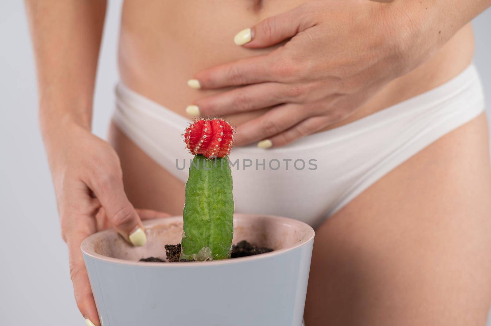 Woman in white panties holds a cactus with hand on her stomach. by mrwed54
