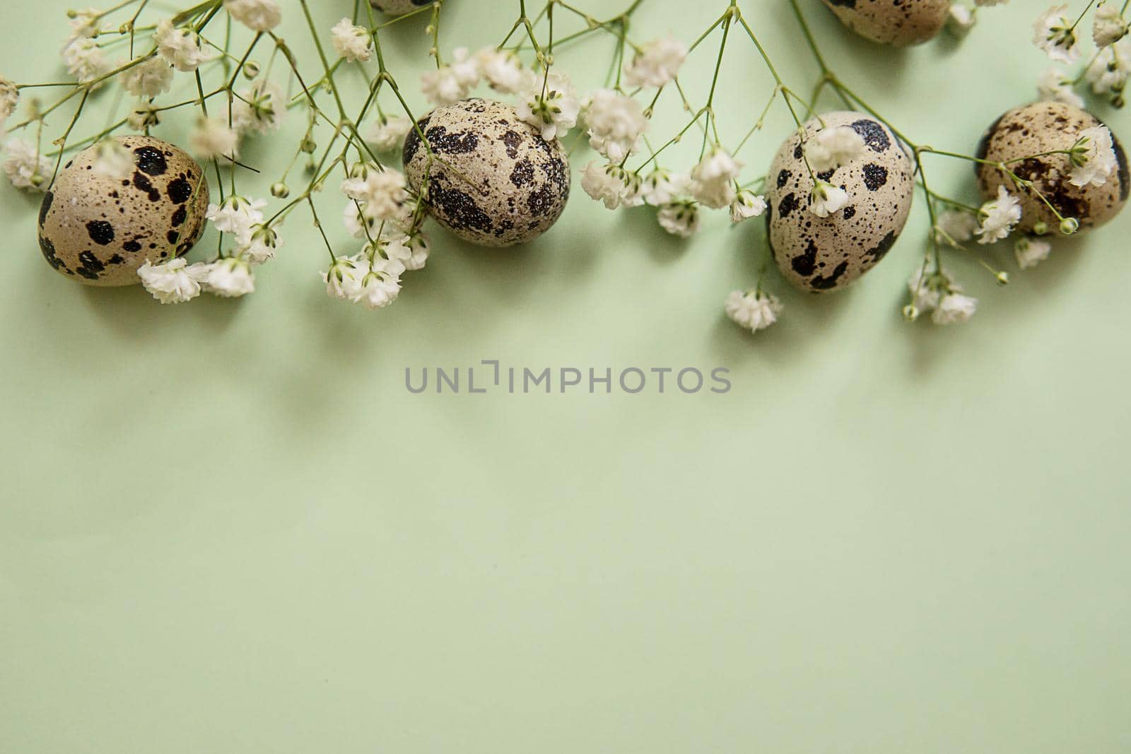 Easter background, quail eggs on a mint background, decorated with natural botanical elements, flat lay, view from above, empty space for text