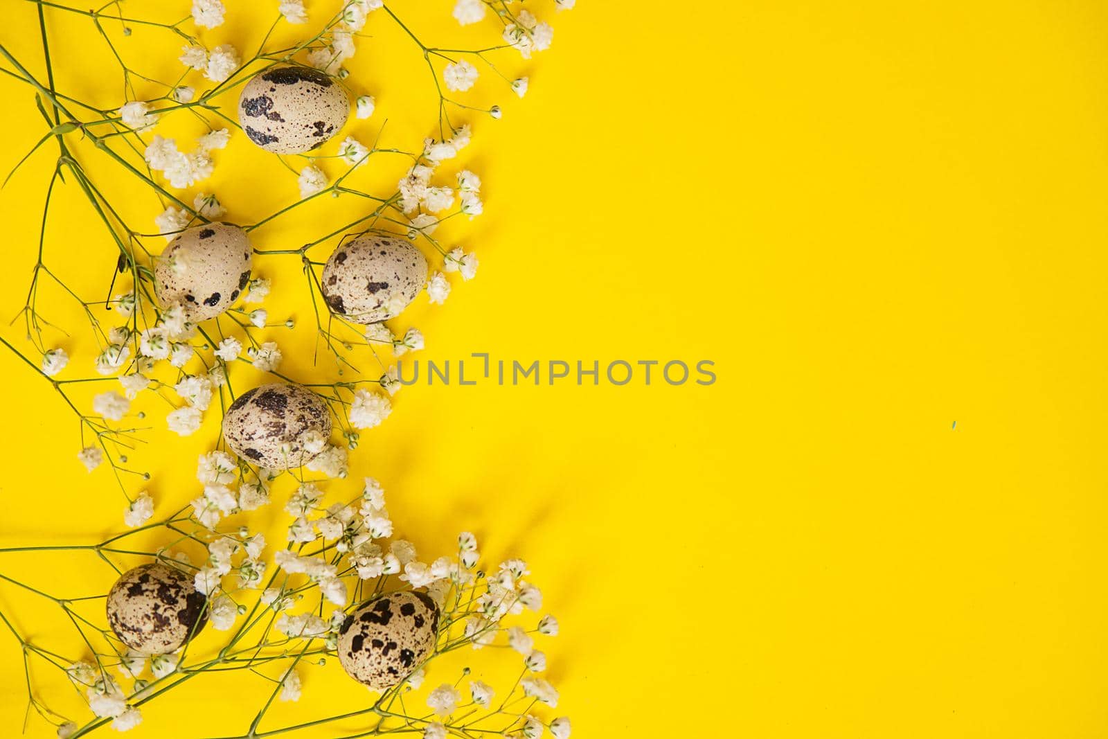 Easter background, quail eggs on a yellow background, decorated with natural botanical elements, flat lay, view from above