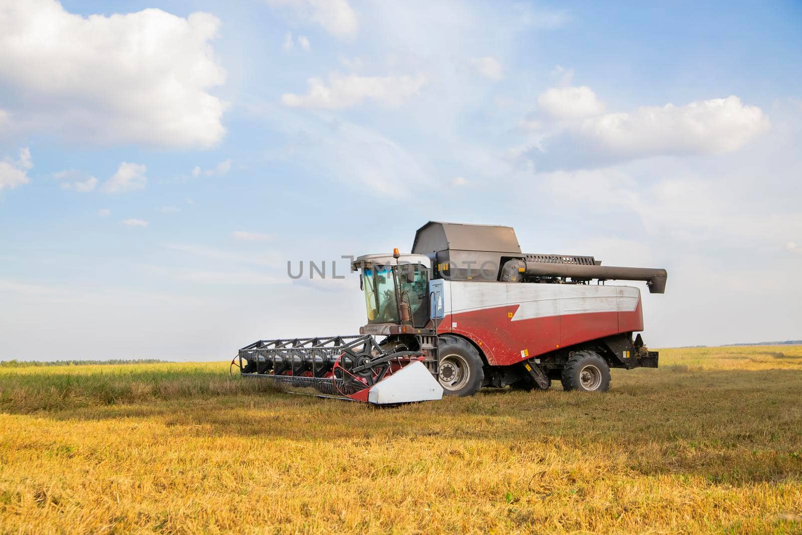 old combine harvester harvests from the field.