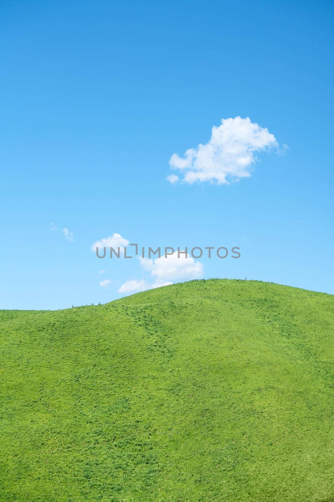 Nalati grassland with the blue sky. Shot in Xinjiang, China.