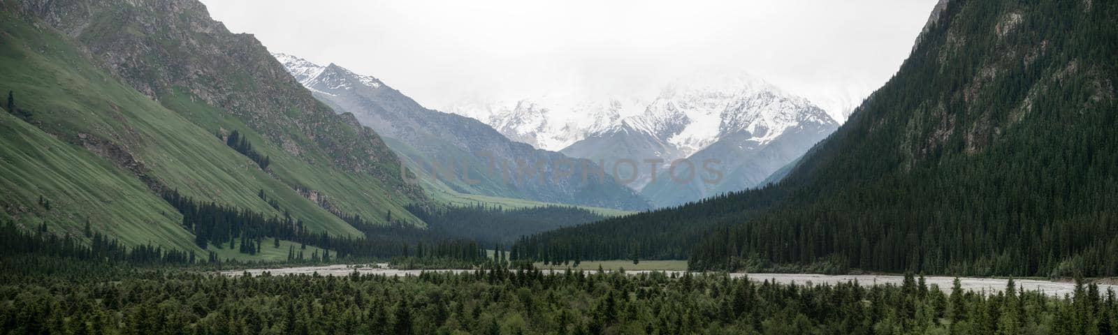 Snowy mountains and trees in a cloudy day. Khan Tengri Mountain, shot in Xinjiang, China.